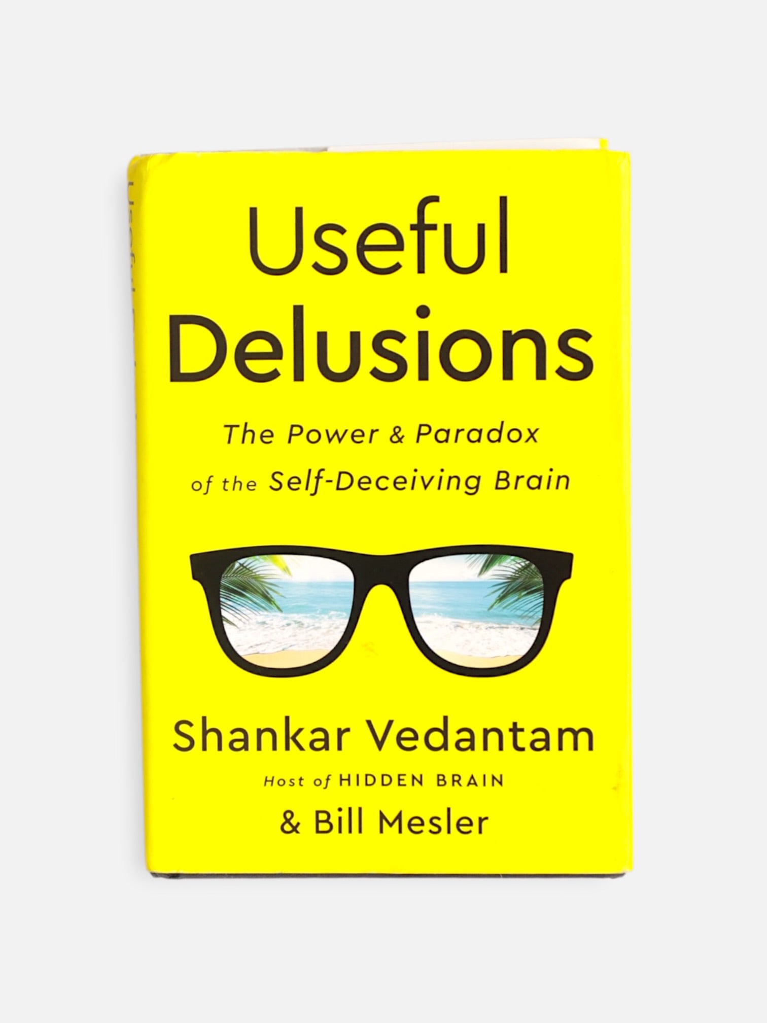 Libro Useful Delusions by Shankar Vedantam