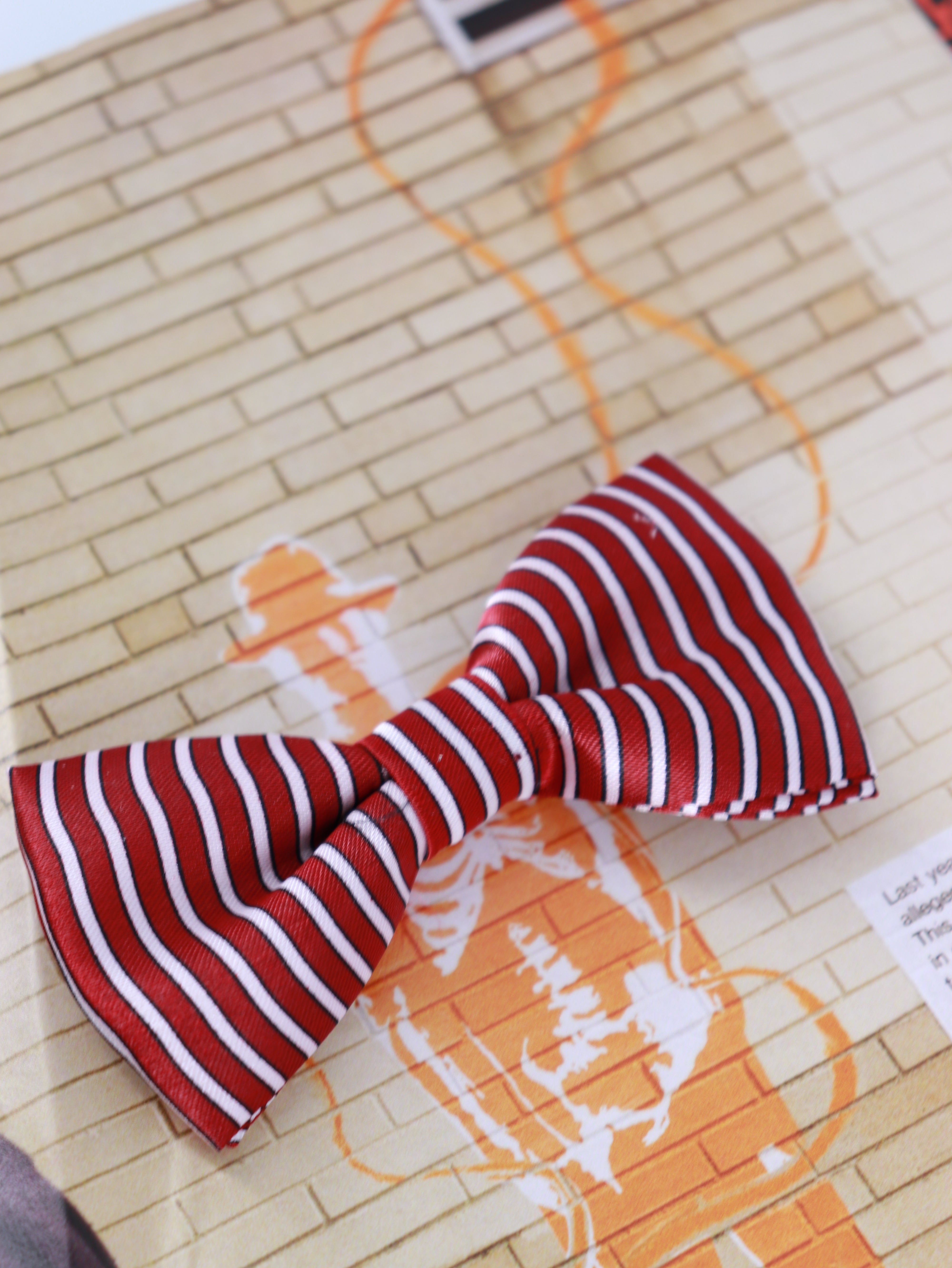 Corbatin Casual Perro y Gato - XS