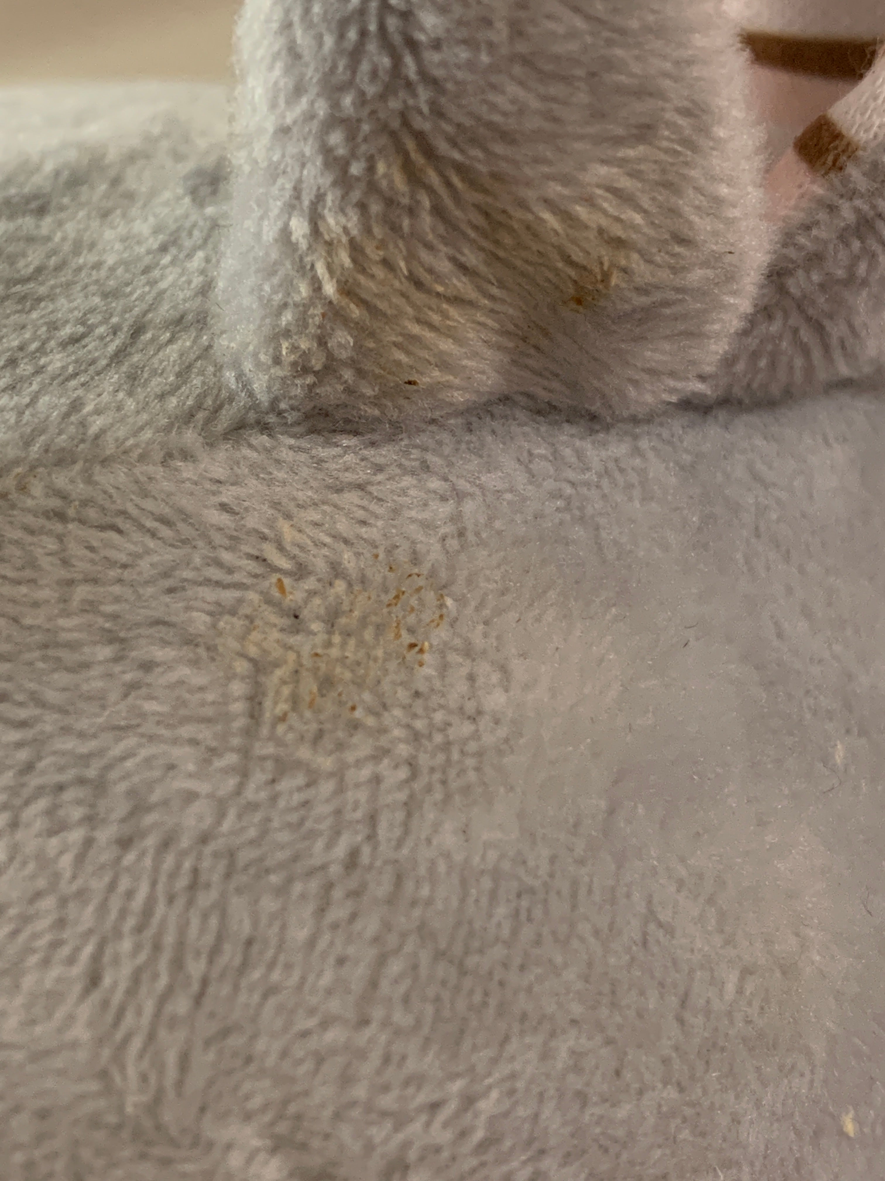 Peluche Animado - Niña - Talla Única (One Size)