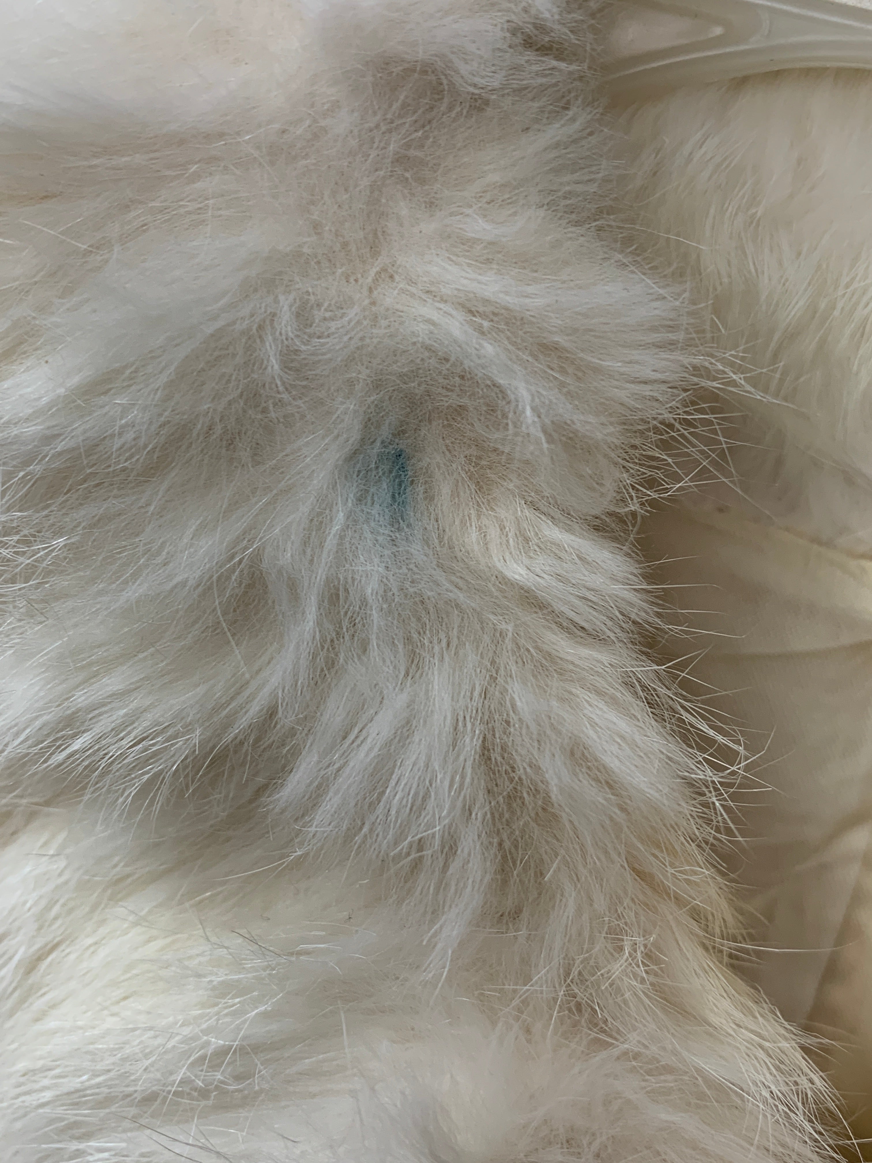 Chaqueta Casual Teddy - Mujer - Small