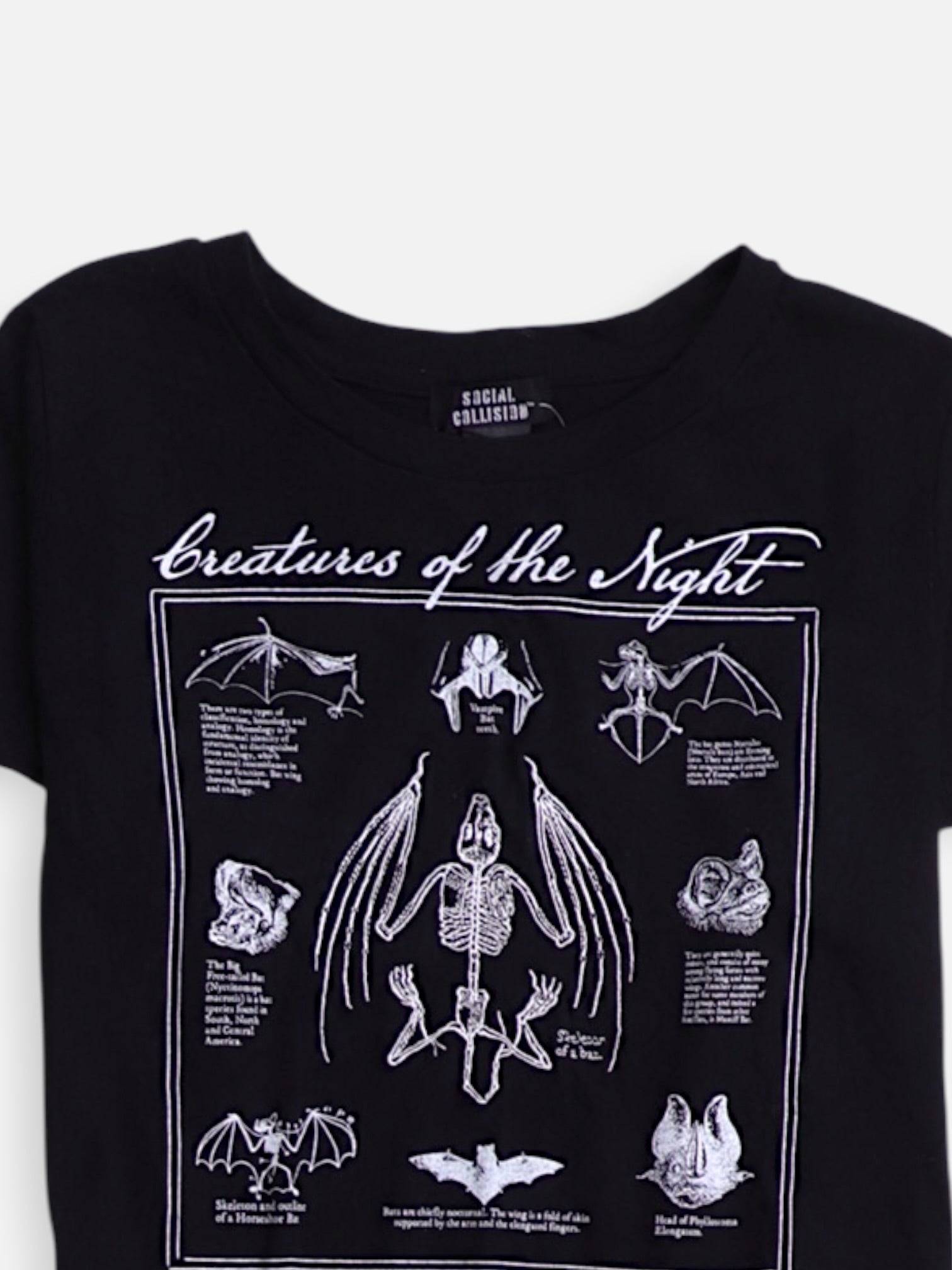 Camiseta Grafica - Mujer - Medium