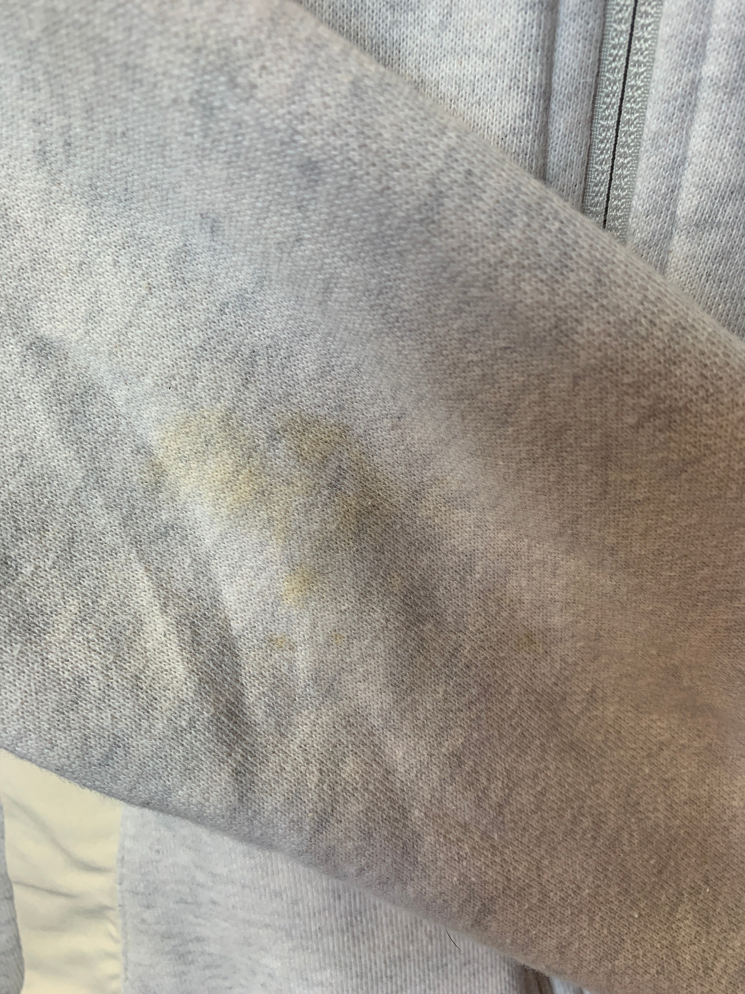 TALBOTS Sudadera Hoodie Basic - Mujer - XS