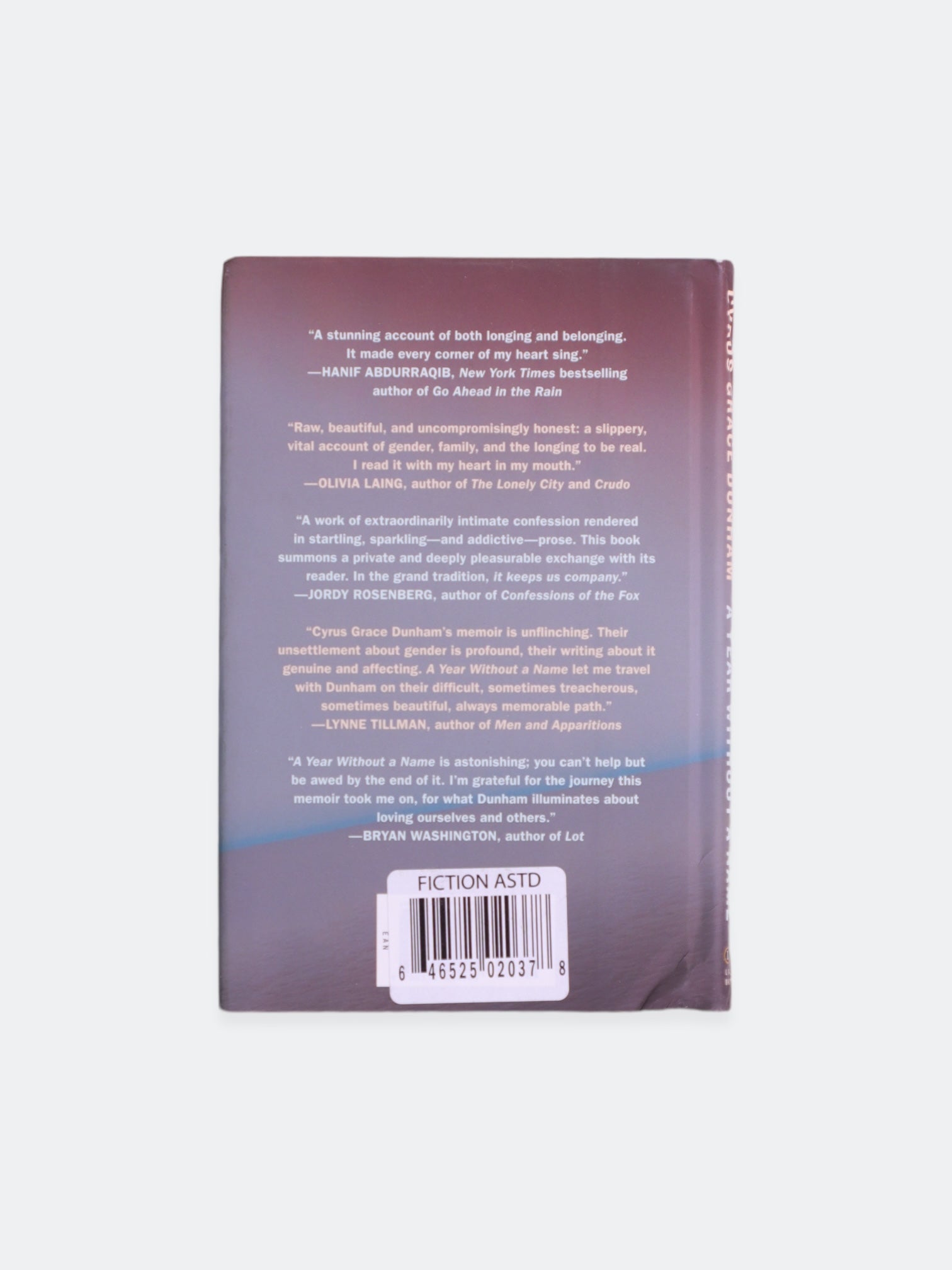 Libro A YEAR WITHOUT A NAME by CYRUS GRACE HUNHAM