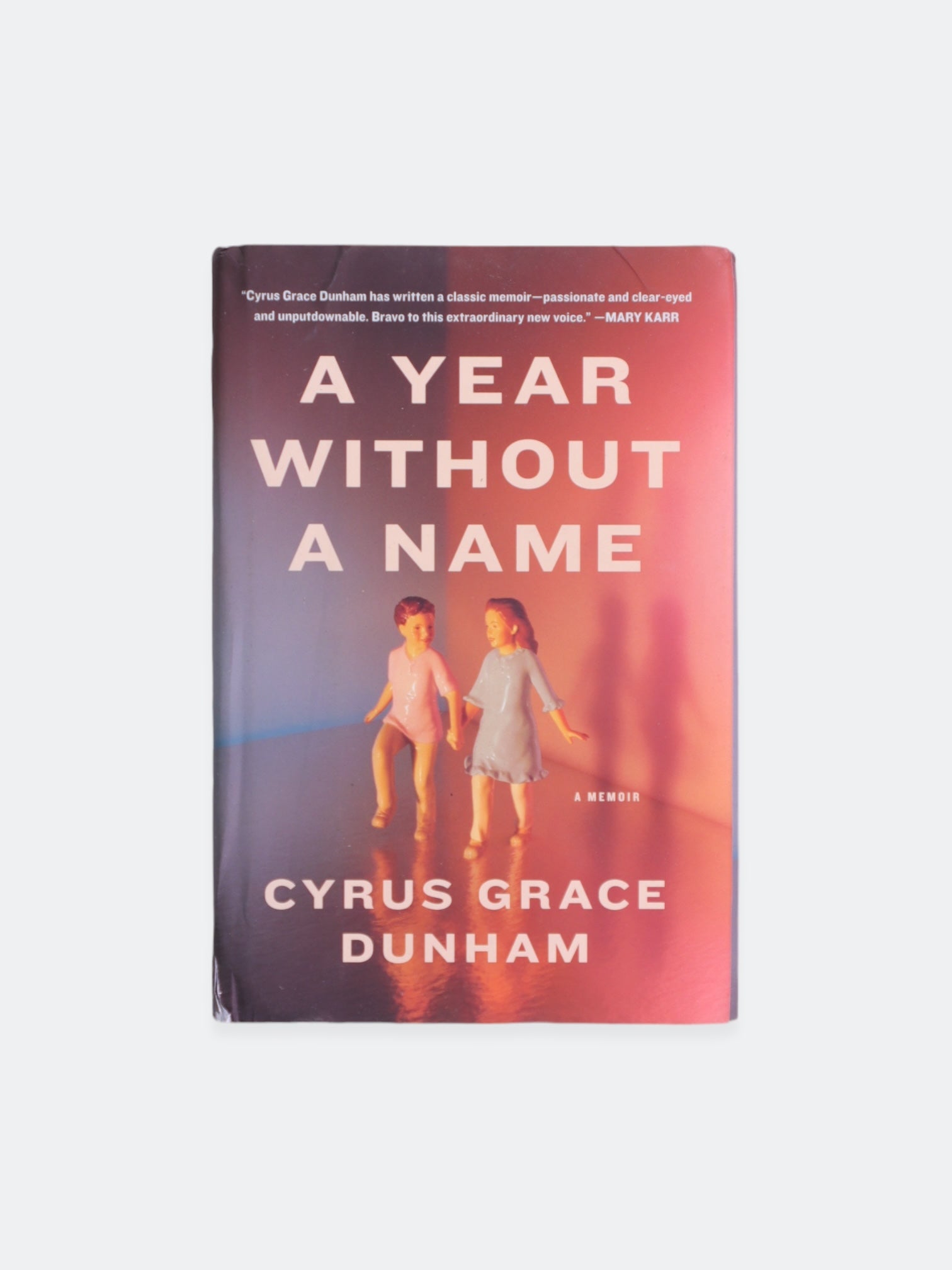 Libro A YEAR WITHOUT A NAME by CYRUS GRACE HUNHAM