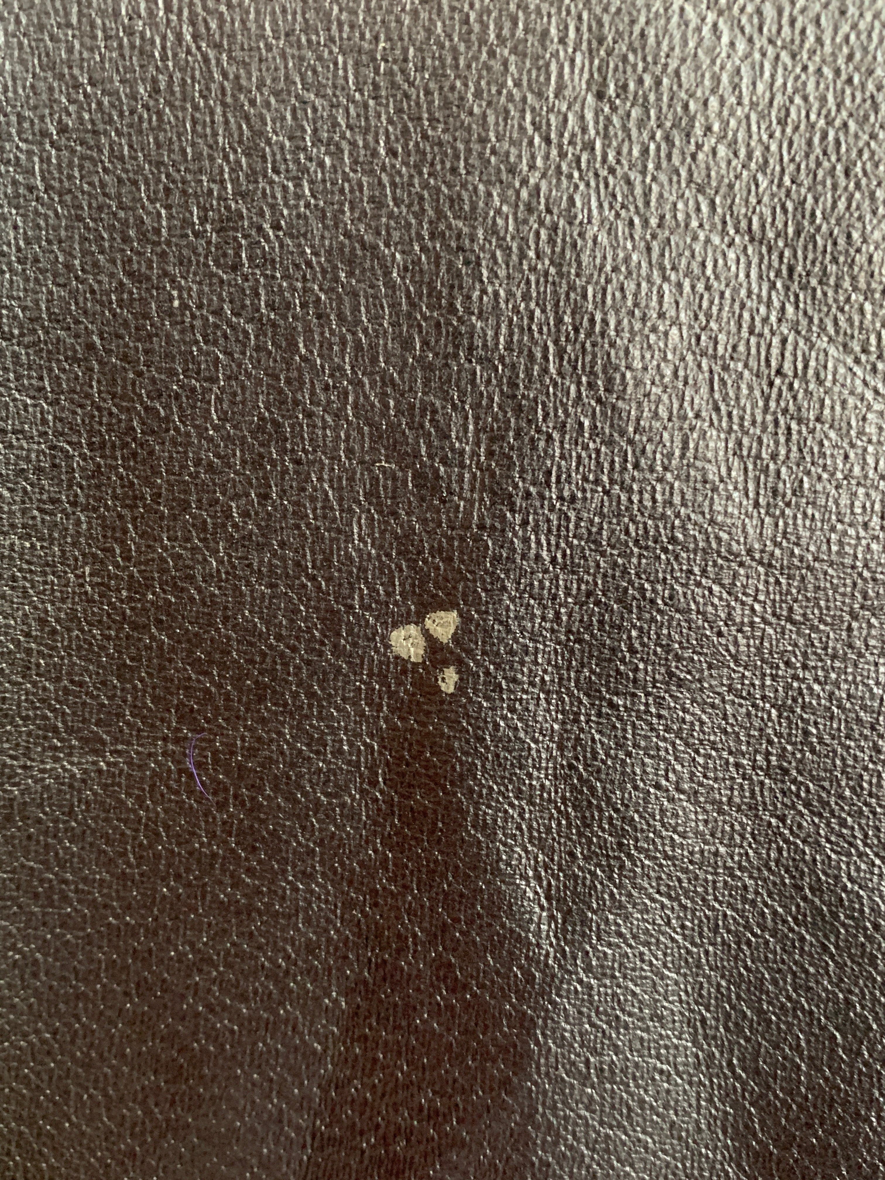 Chaqueta Casual Cuero - Mujer - 2XL