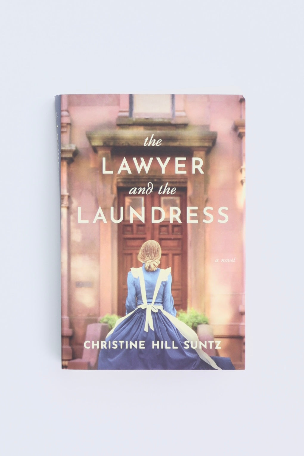 Libro THE LAWYER AND THE LAUNDRESS by CHRISTINE HILL SUNTZ
