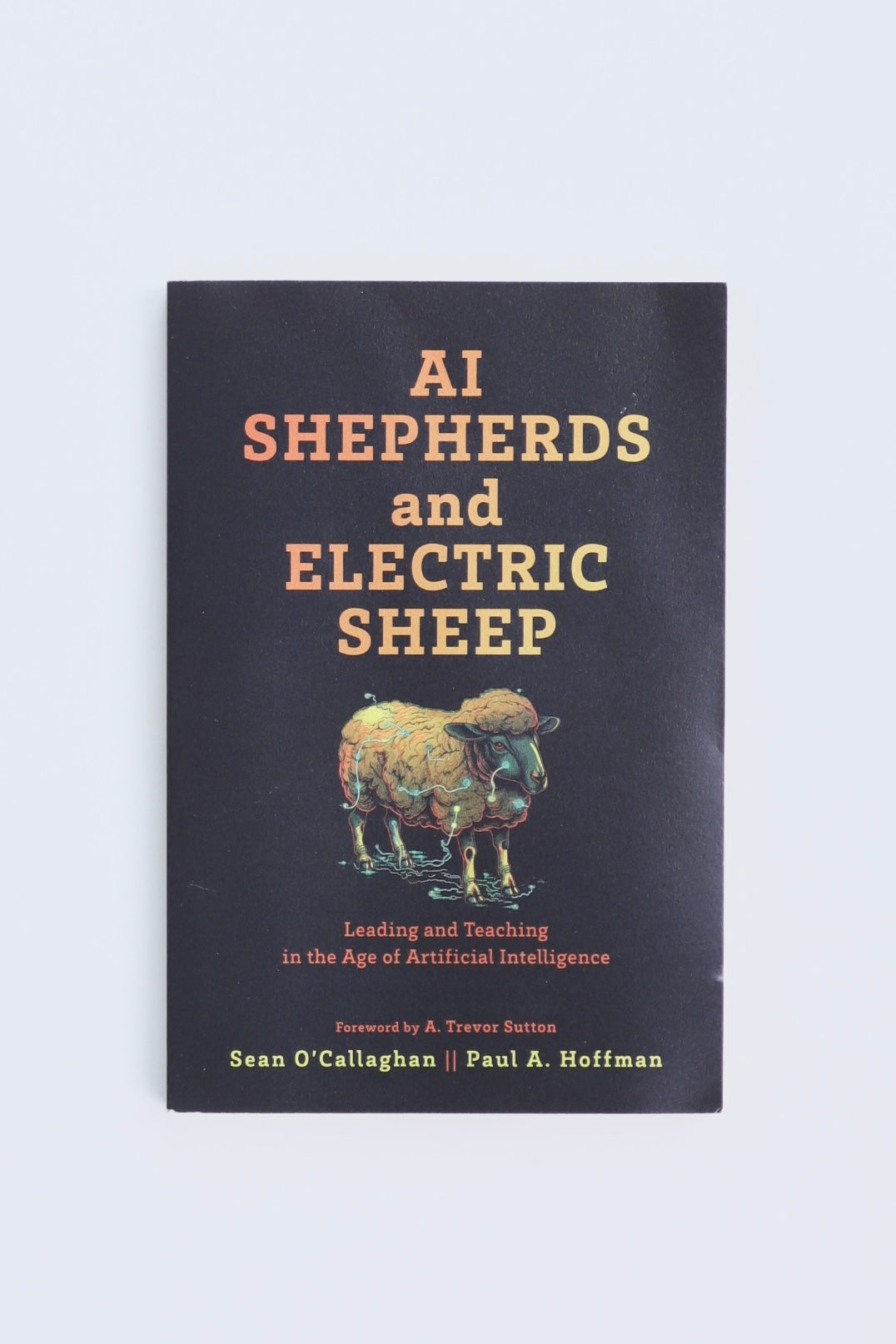 Libro AI SHEPHERDS AND ELECTRIC SHEEP by O’ VALLAHAN - HOFMAN