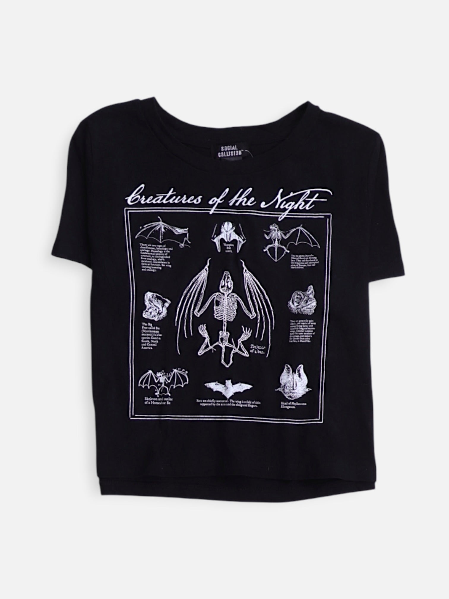 Camiseta Grafica - Mujer - Medium