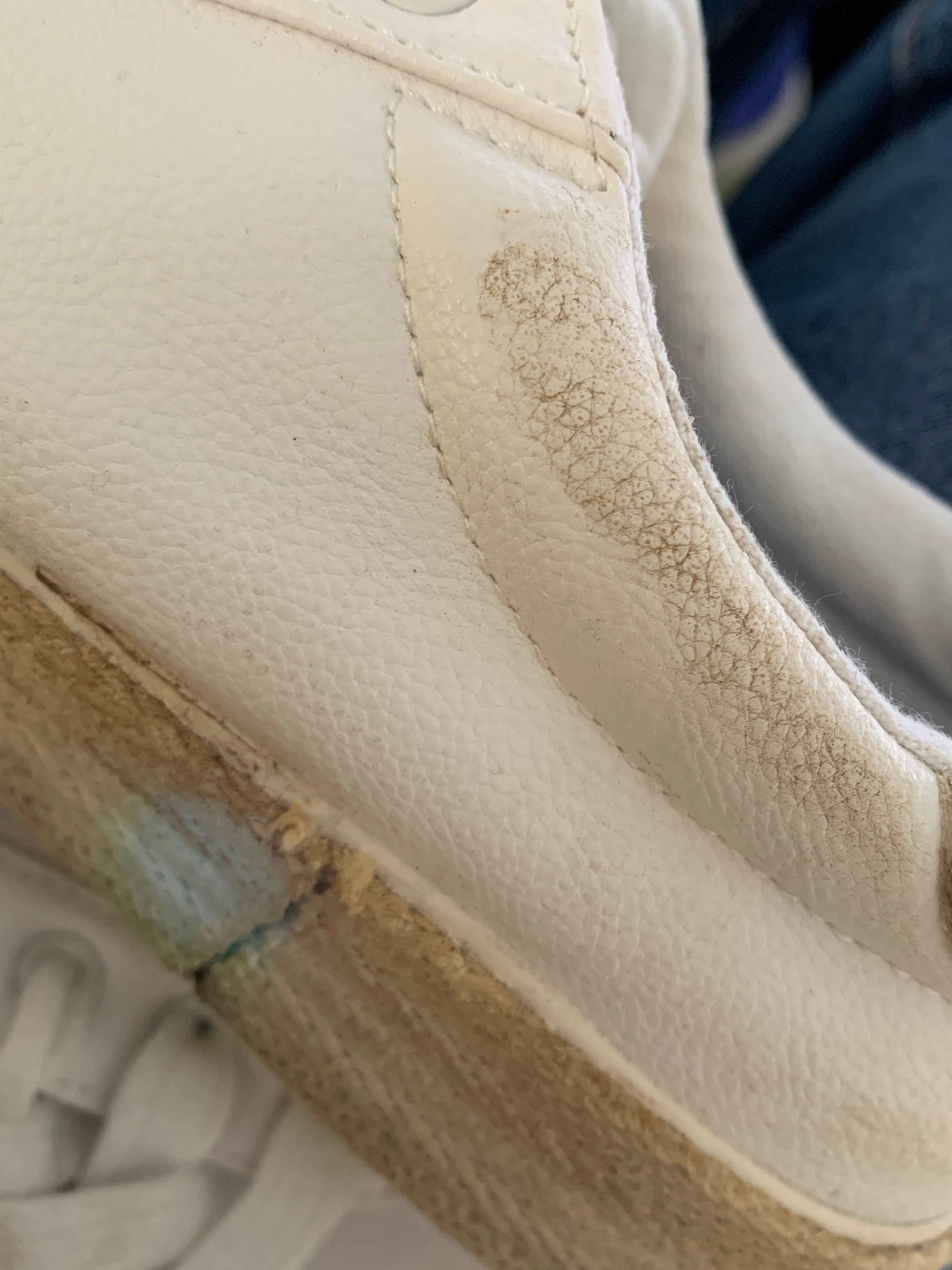 Nautica Tenis Casual Basic - Mujer - US 8.5