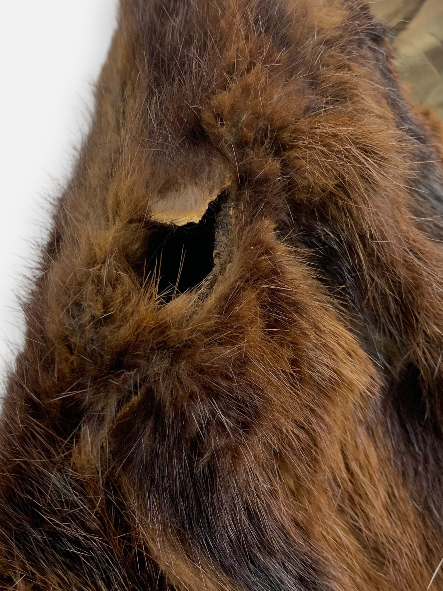 Poncho Teddy - Mujer - Talla Única (One Size)