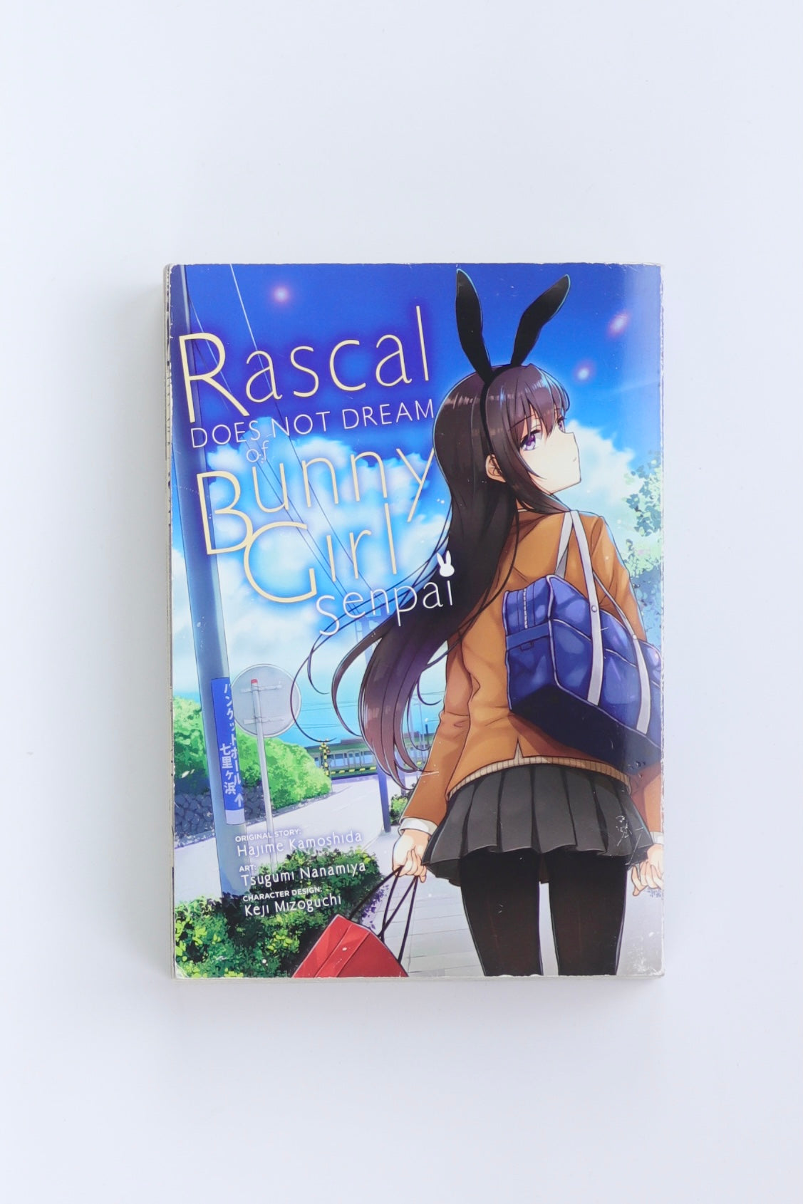 Libro RÁSCAL DOES NOT DREAM OF BUNNY GIRL SENPAL by TSUGUMI NANAMIYA