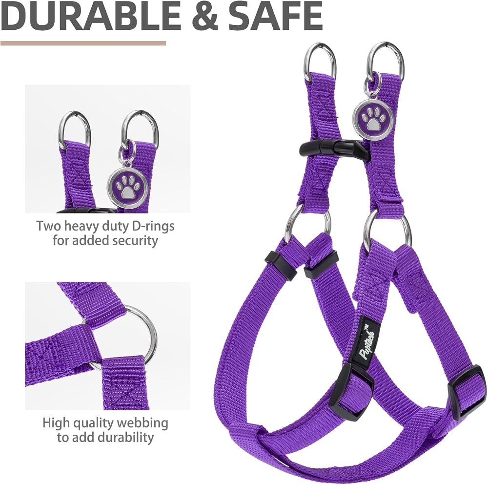 Arnés Basic Perro - Medium