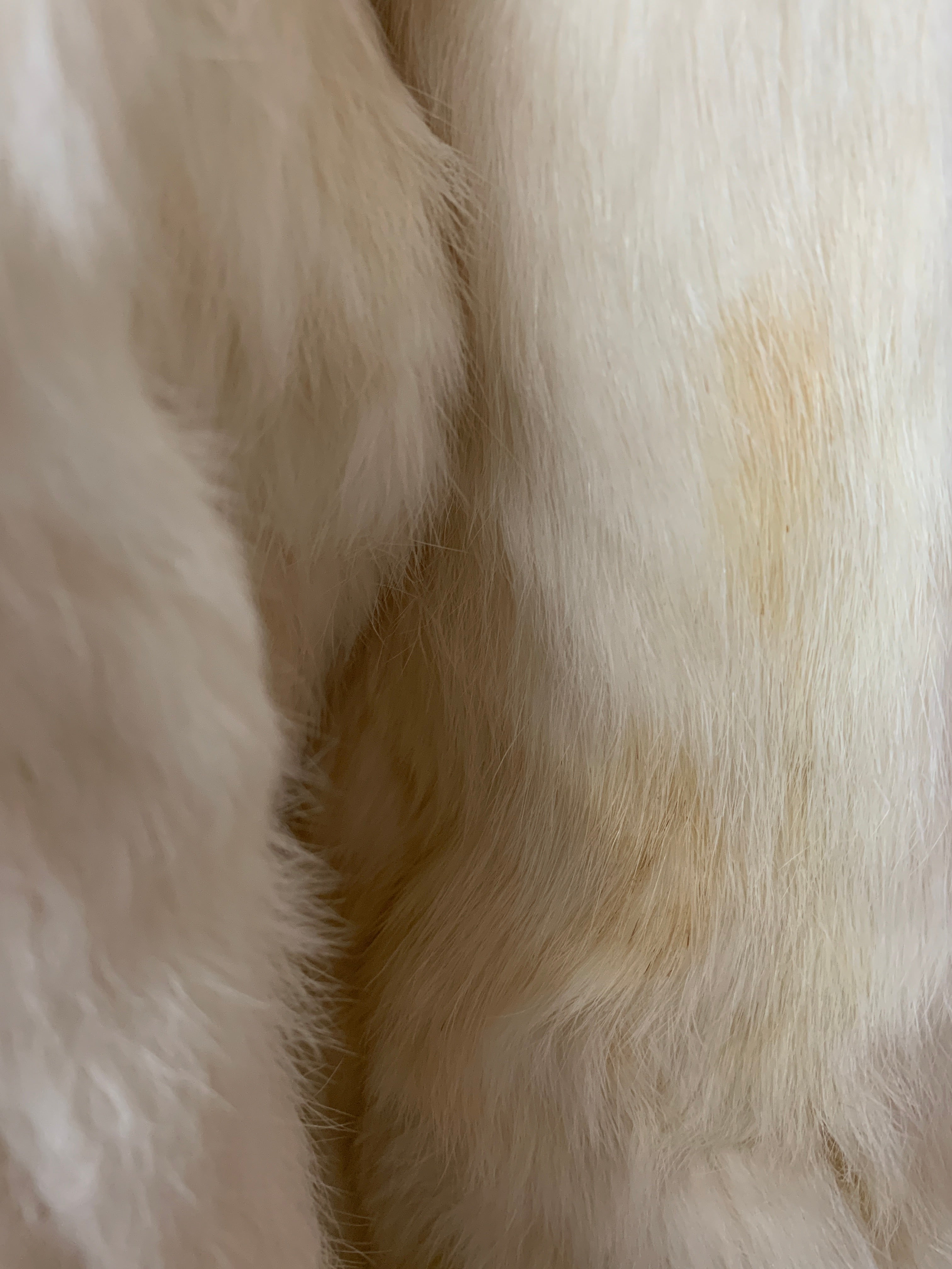 Chaqueta Casual Teddy - Mujer - Small