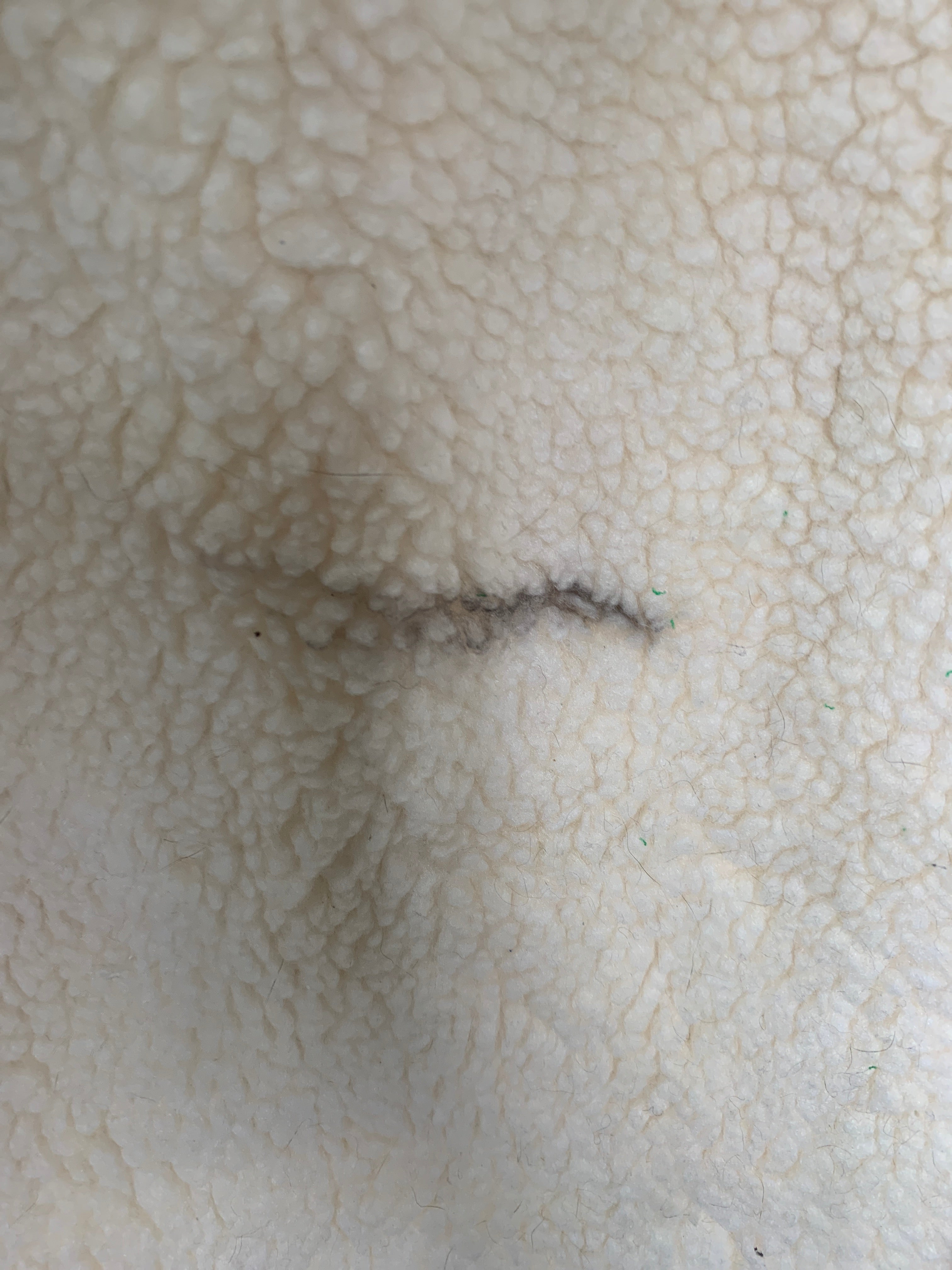 Abrigo Casual Teddy - Mujer - Small