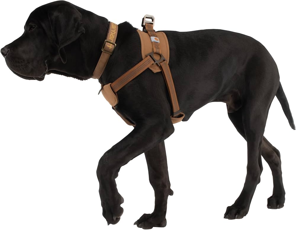 Carhartt Arnés  Basic Perro - Talla Única (One Size)
