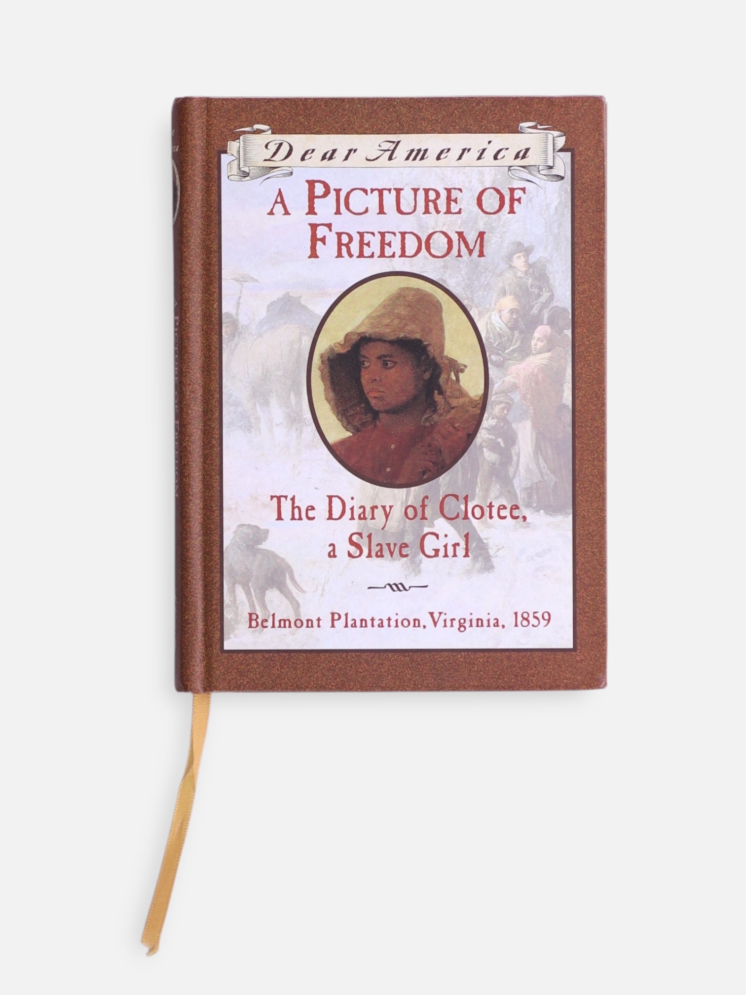 Libro A picture of freedom the diary of clotee, a slave girl  by Patricia c. Mckissack