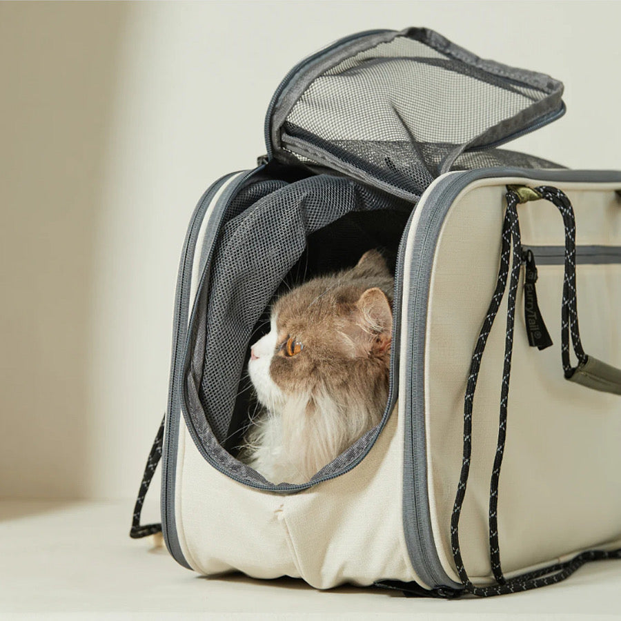 Maletín  Casual Gato - Talla Única (One Size)