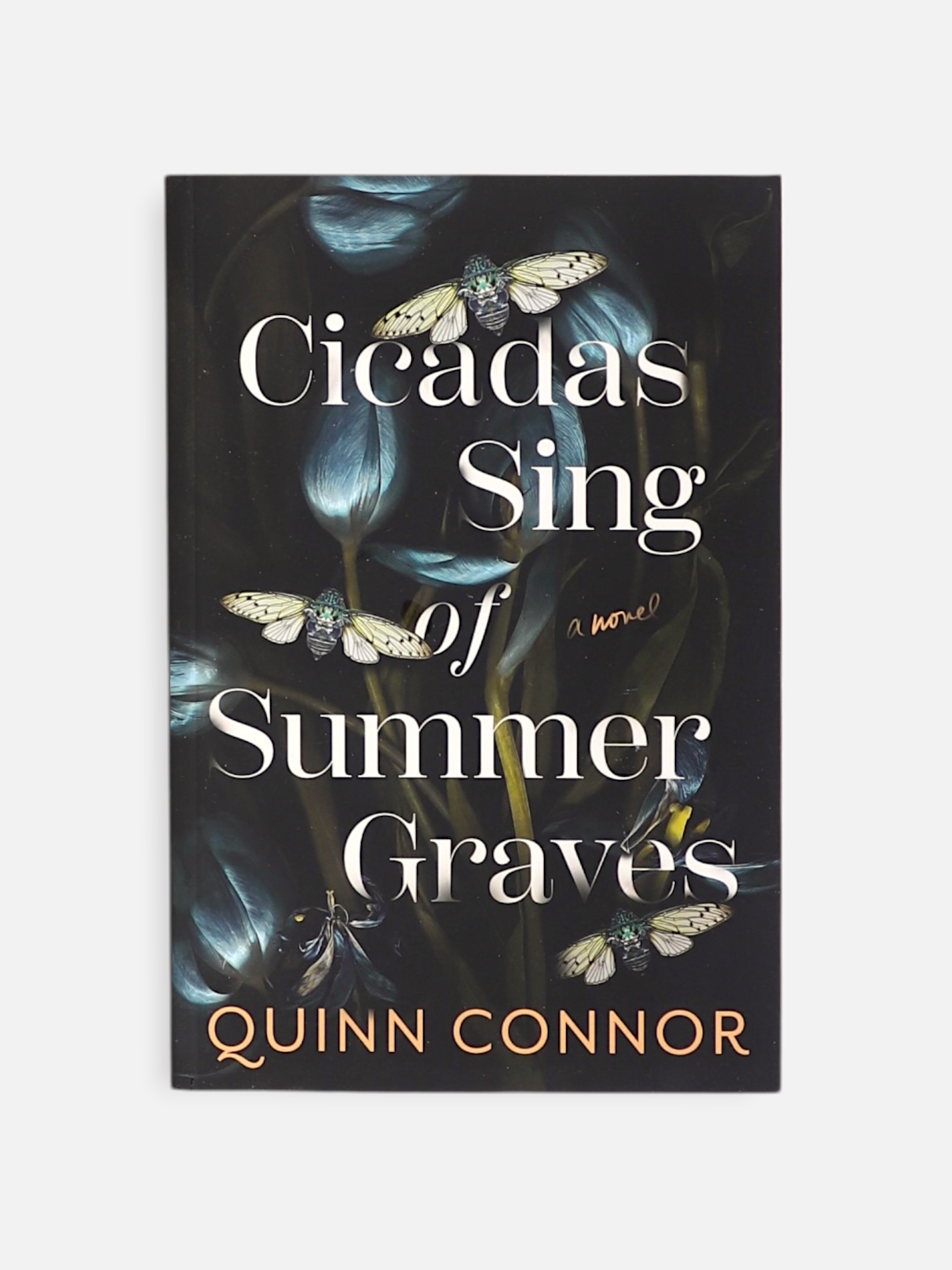 Libro CICADAS SING OF SUMMER GRAVES by Quinn Connor