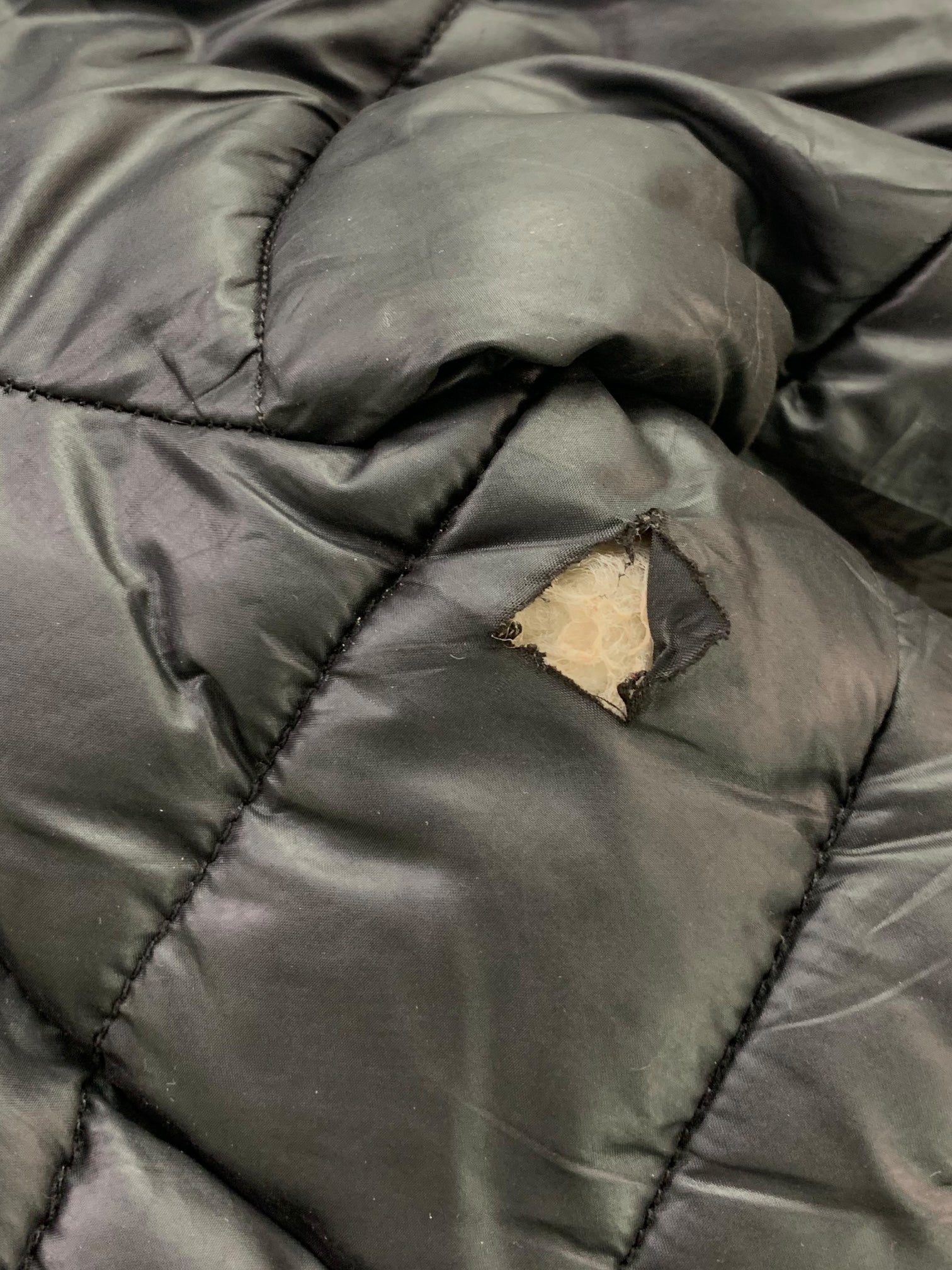 Calvin Klein Abrigo Impermeable Puffer - Niña - Small - 5-6Y (Años)