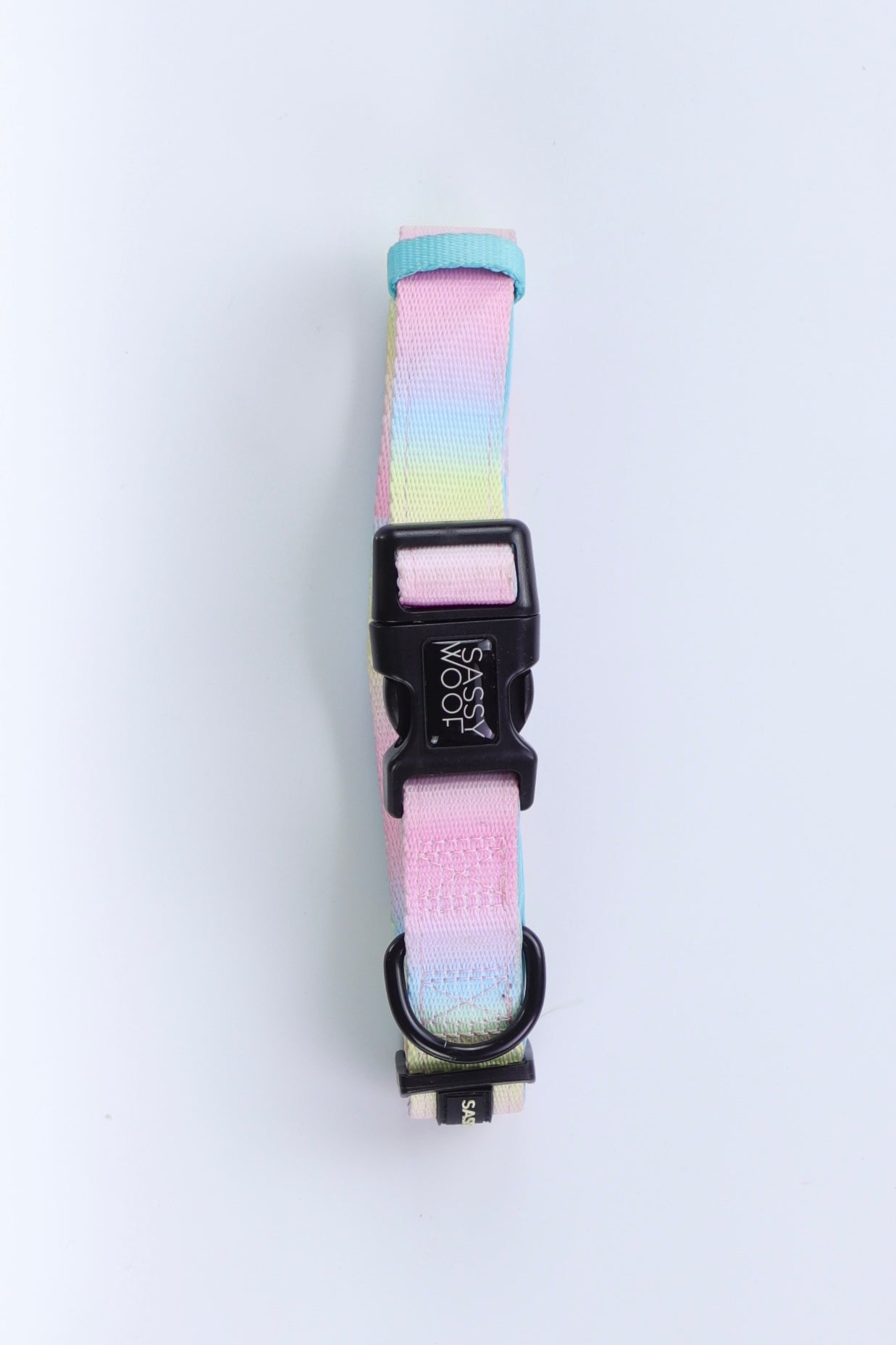 Collar Basic Perro - Talla Única (One Size)