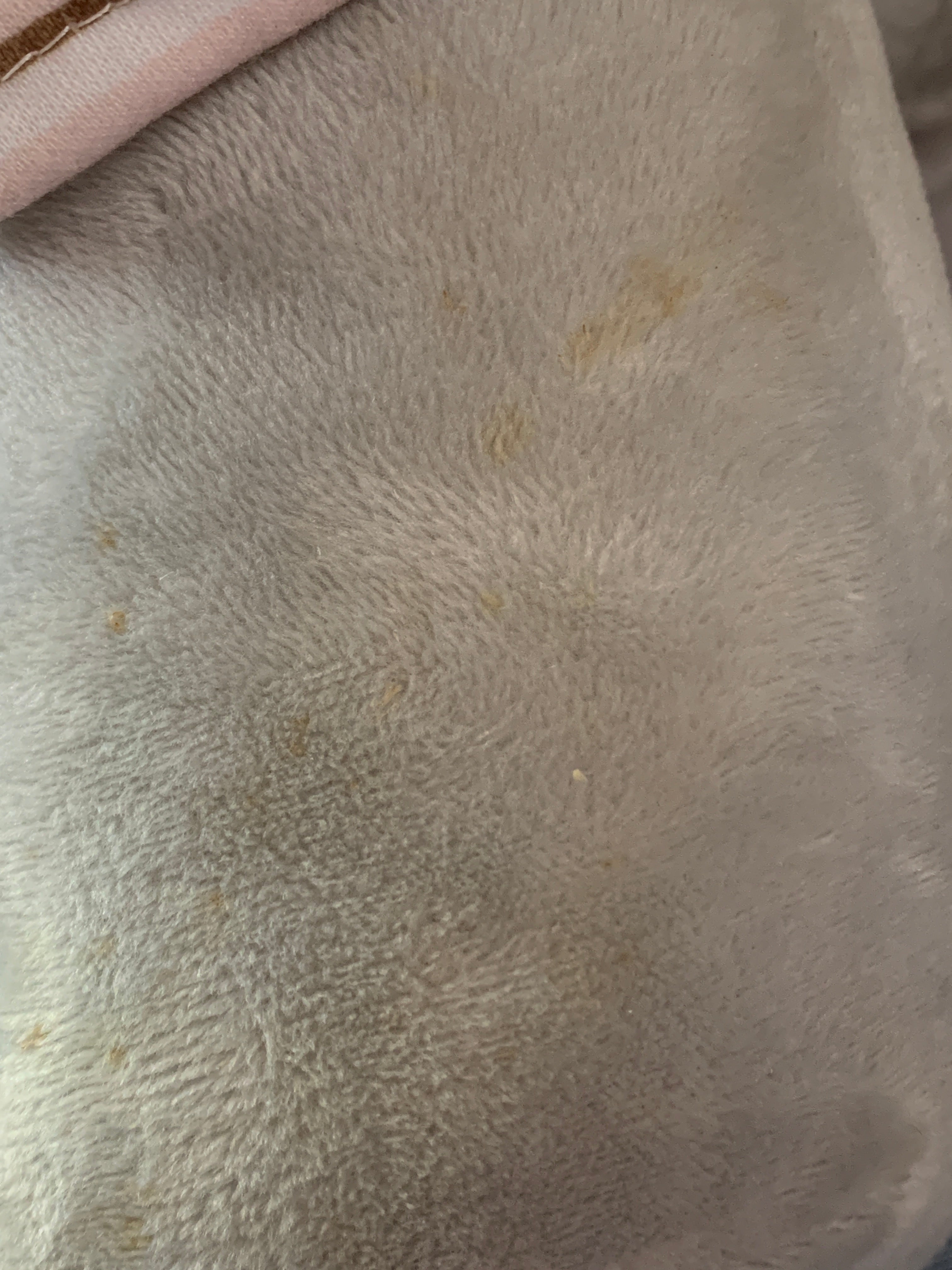 Peluche Animado - Niña - Talla Única (One Size)