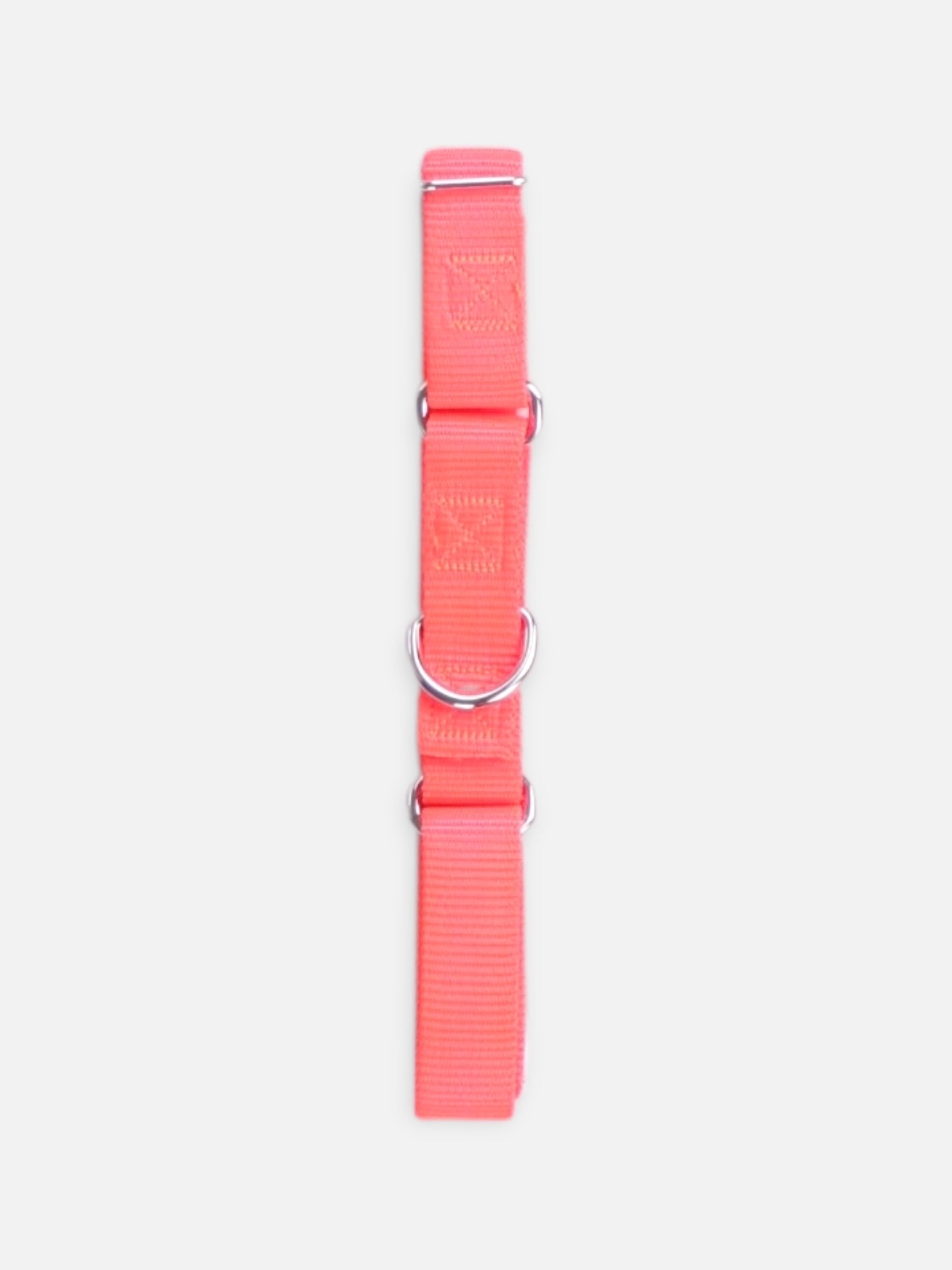 Collar Basic Perro - Talla Única (One Size)
