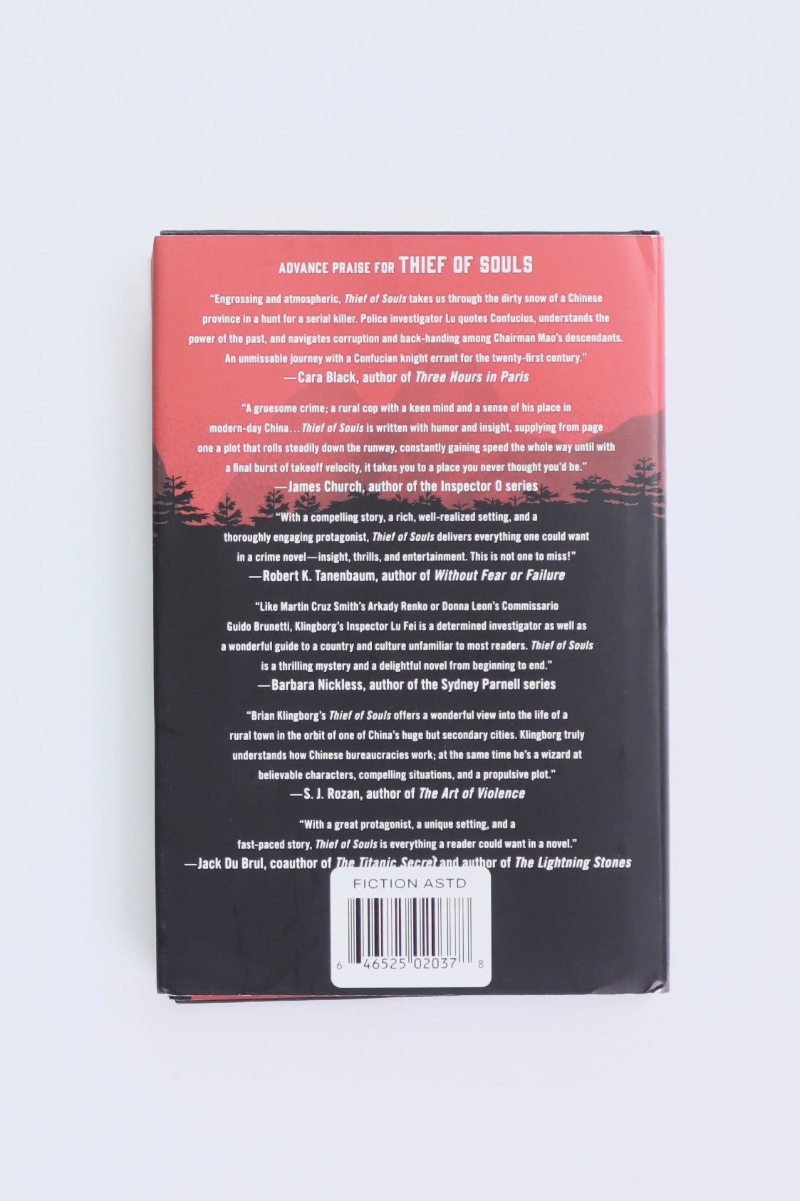 Libro THIEF OF SOULS  by BRIAN KLINGBORG