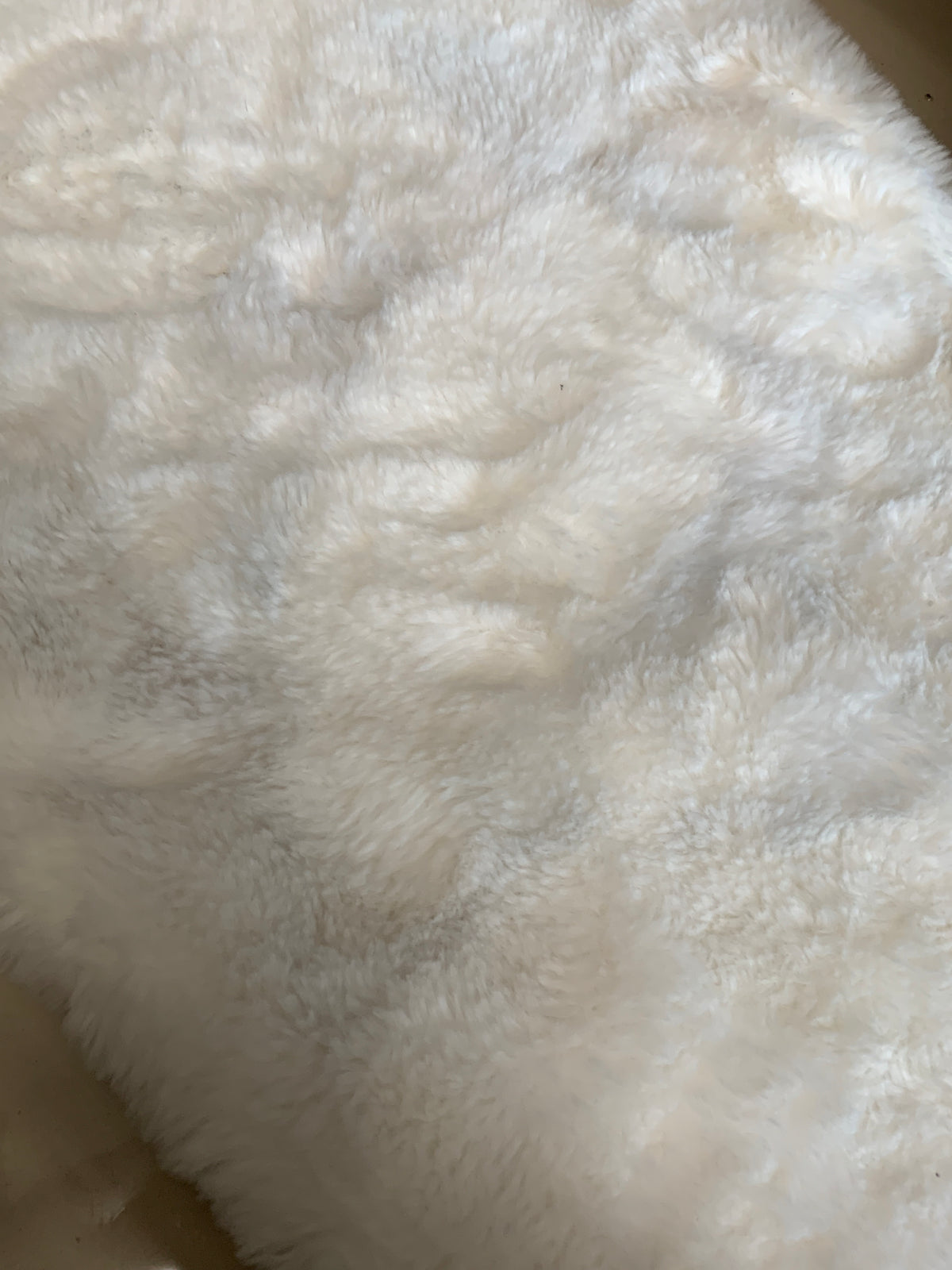 Poncho Teddy - Mujer - Talla Única (One Size)