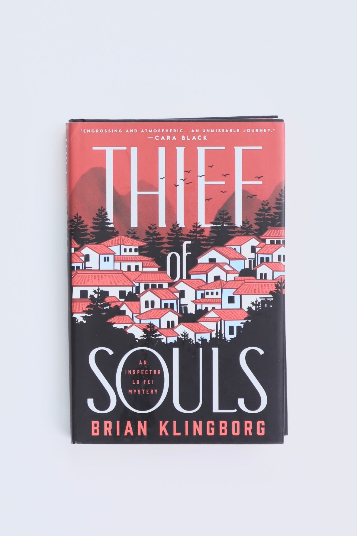 Libro THIEF OF SOULS  by BRIAN KLINGBORG