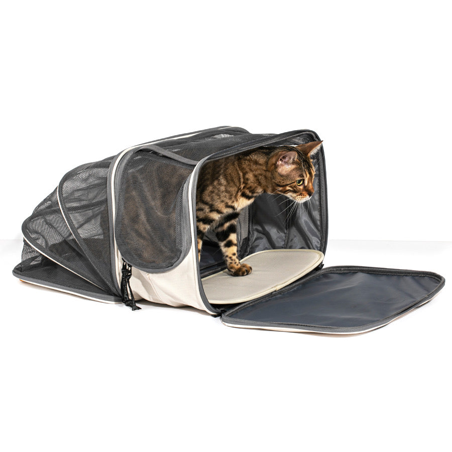 Maletín  Casual Gato - Talla Única (One Size)