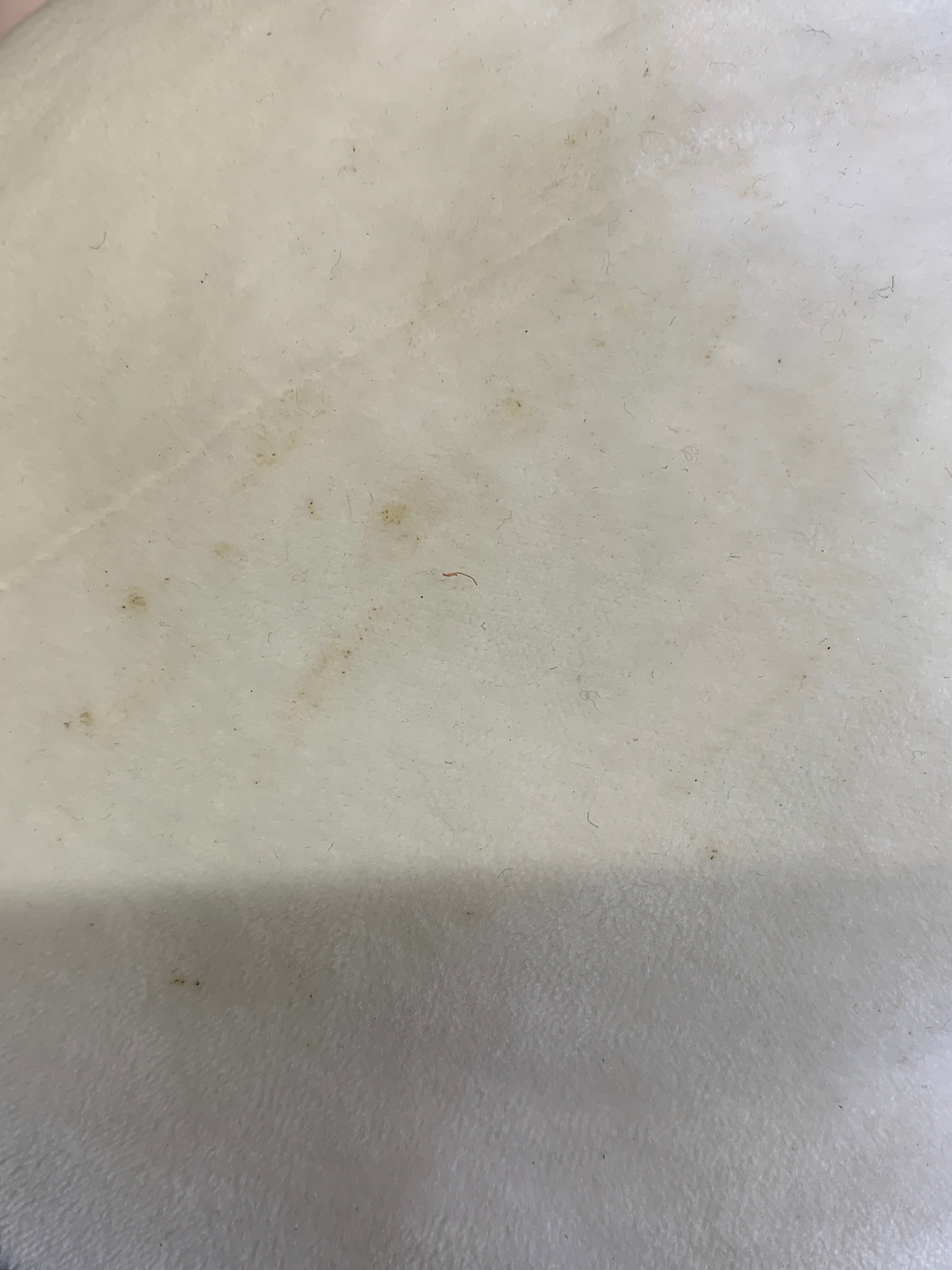 Disney Peluche Animado - Unisex - N/A