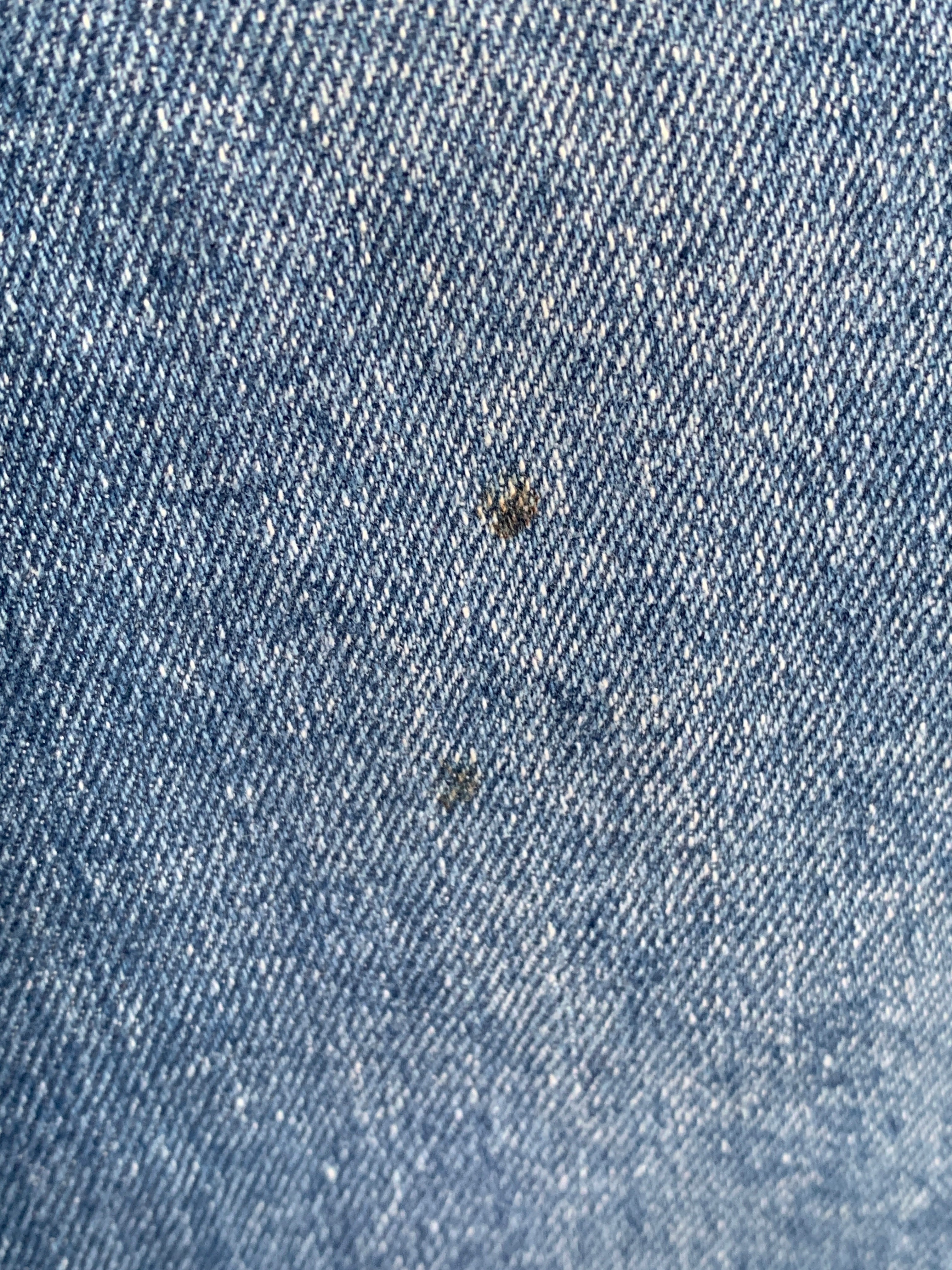 Jean Curvy Bootcut Denim - Mujer - 13/31