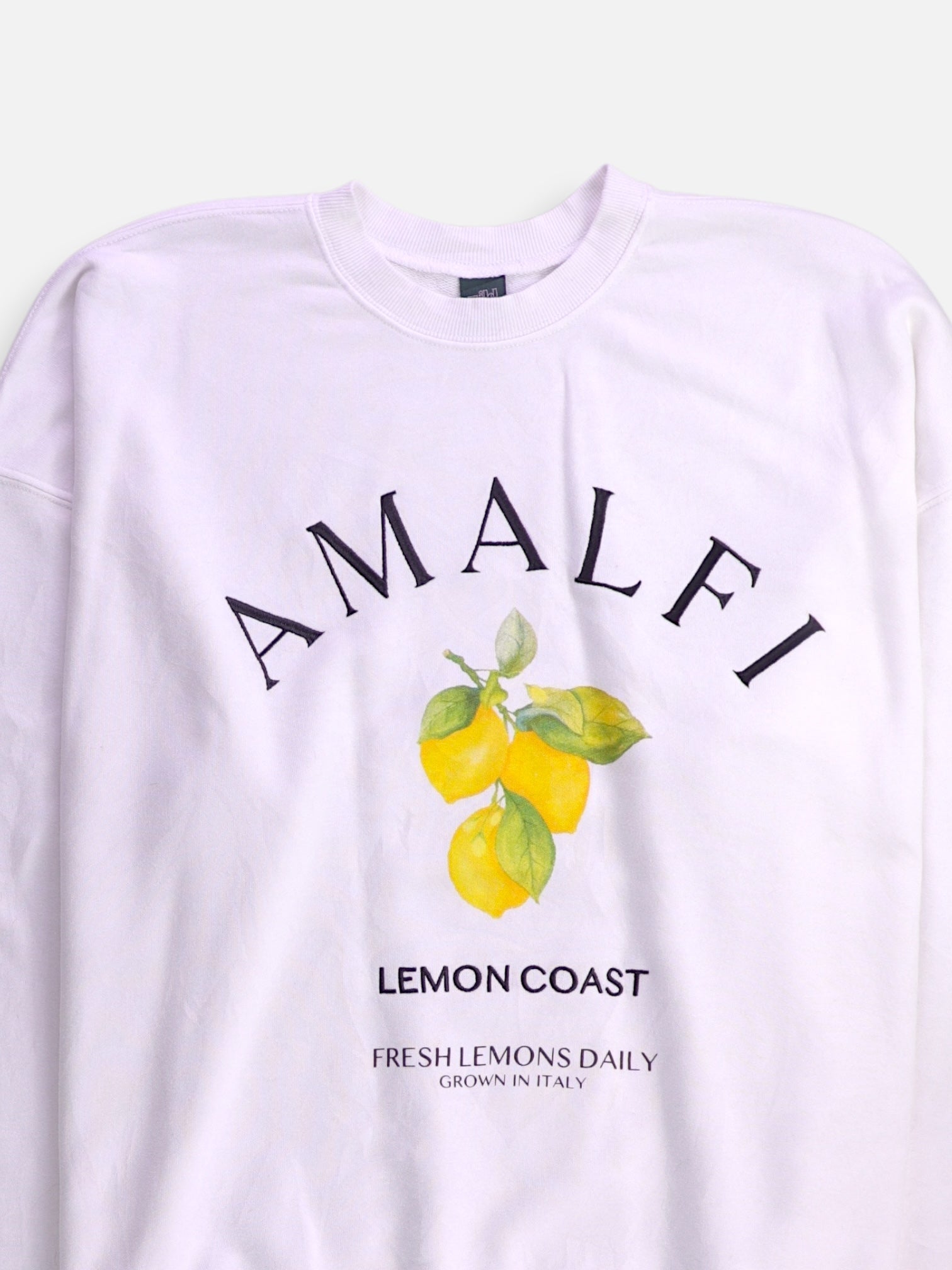 Wild Fable Sudadera Sweatshirt Basic - Hombre - Small