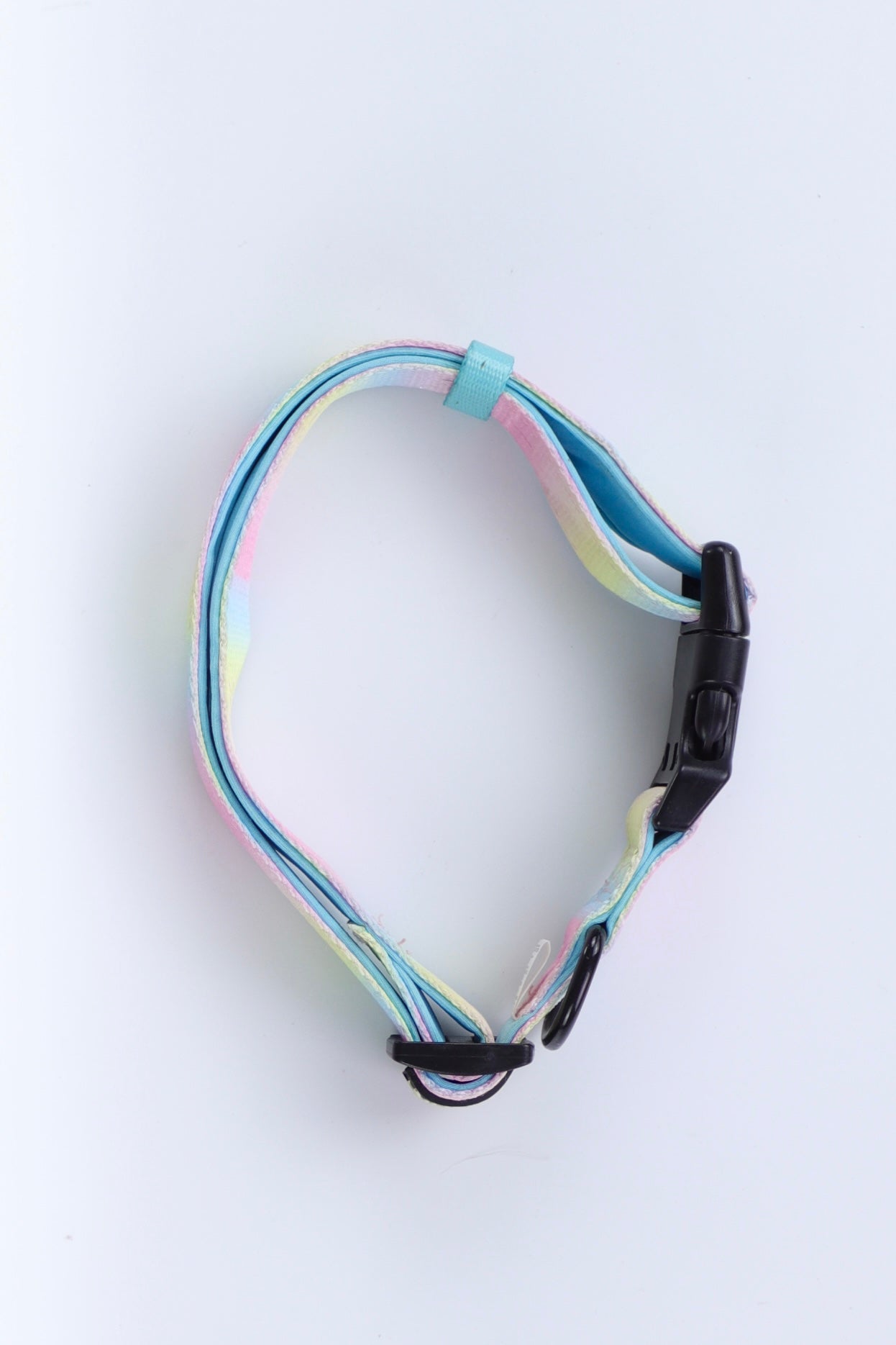 Collar Basic Perro - Talla Única (One Size)