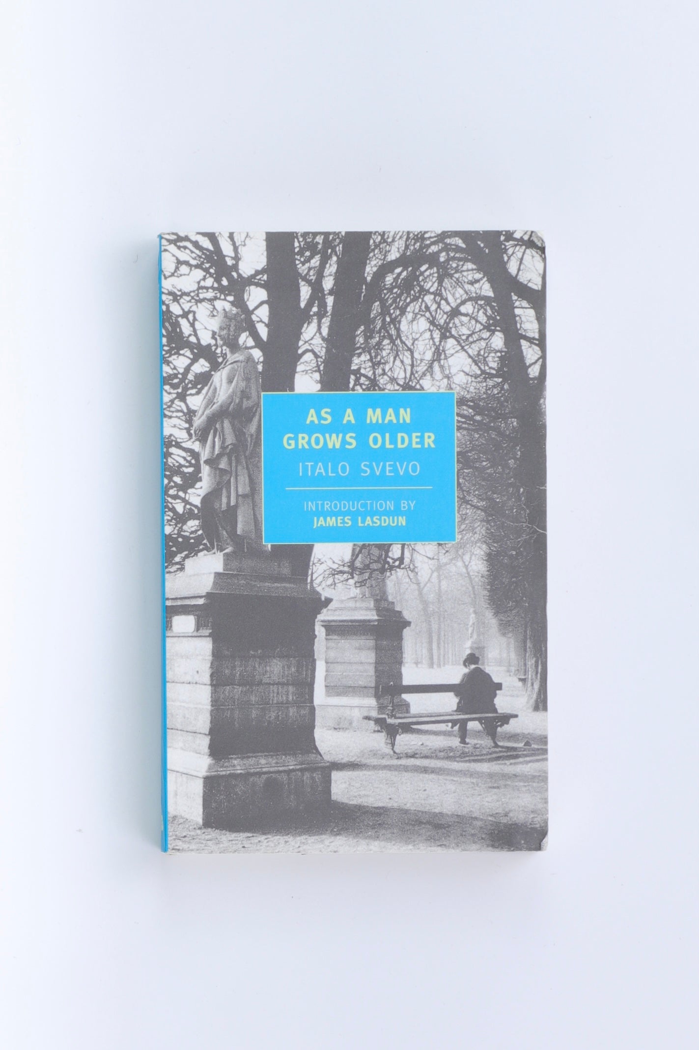 Libro AS A MAN GROWS OLDER  by JAMES LASDUN