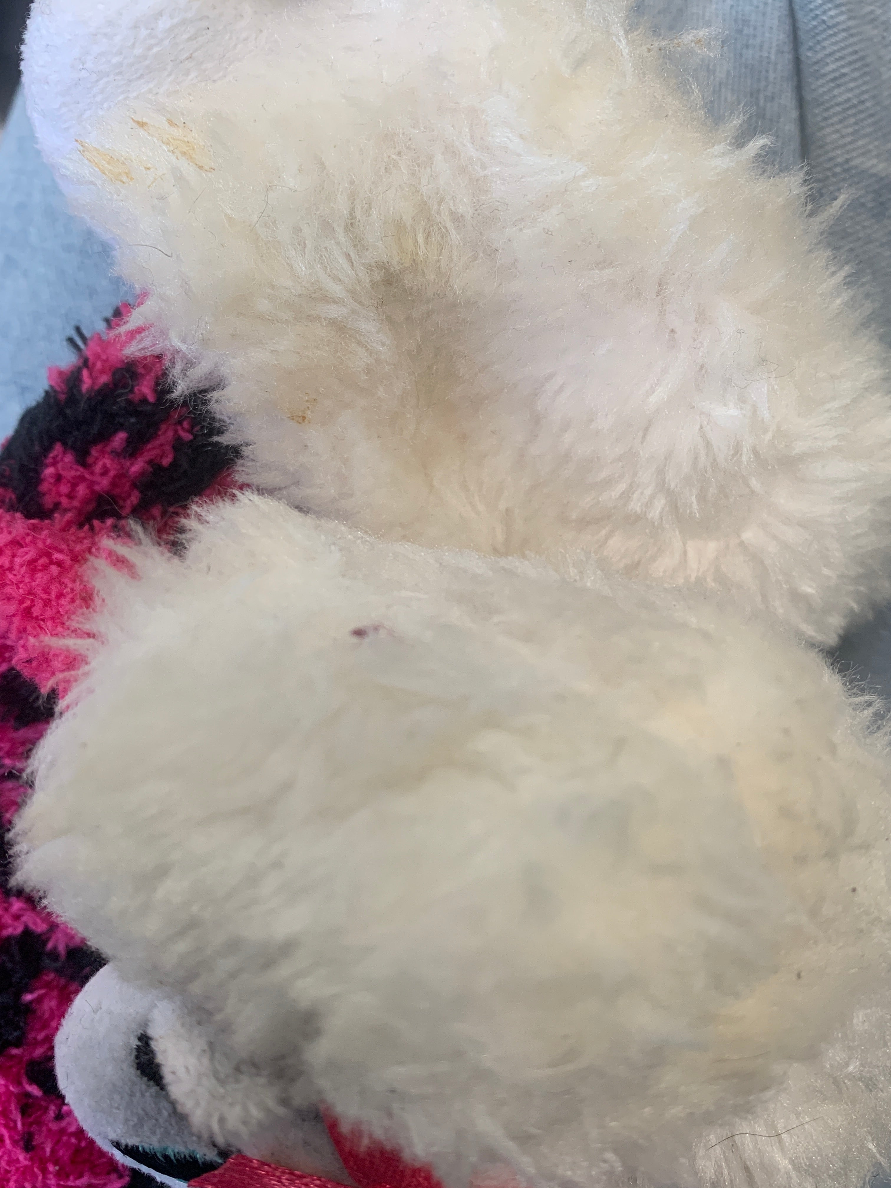 Calcetines 1 Par - Mujer - Talla Única (One Size)