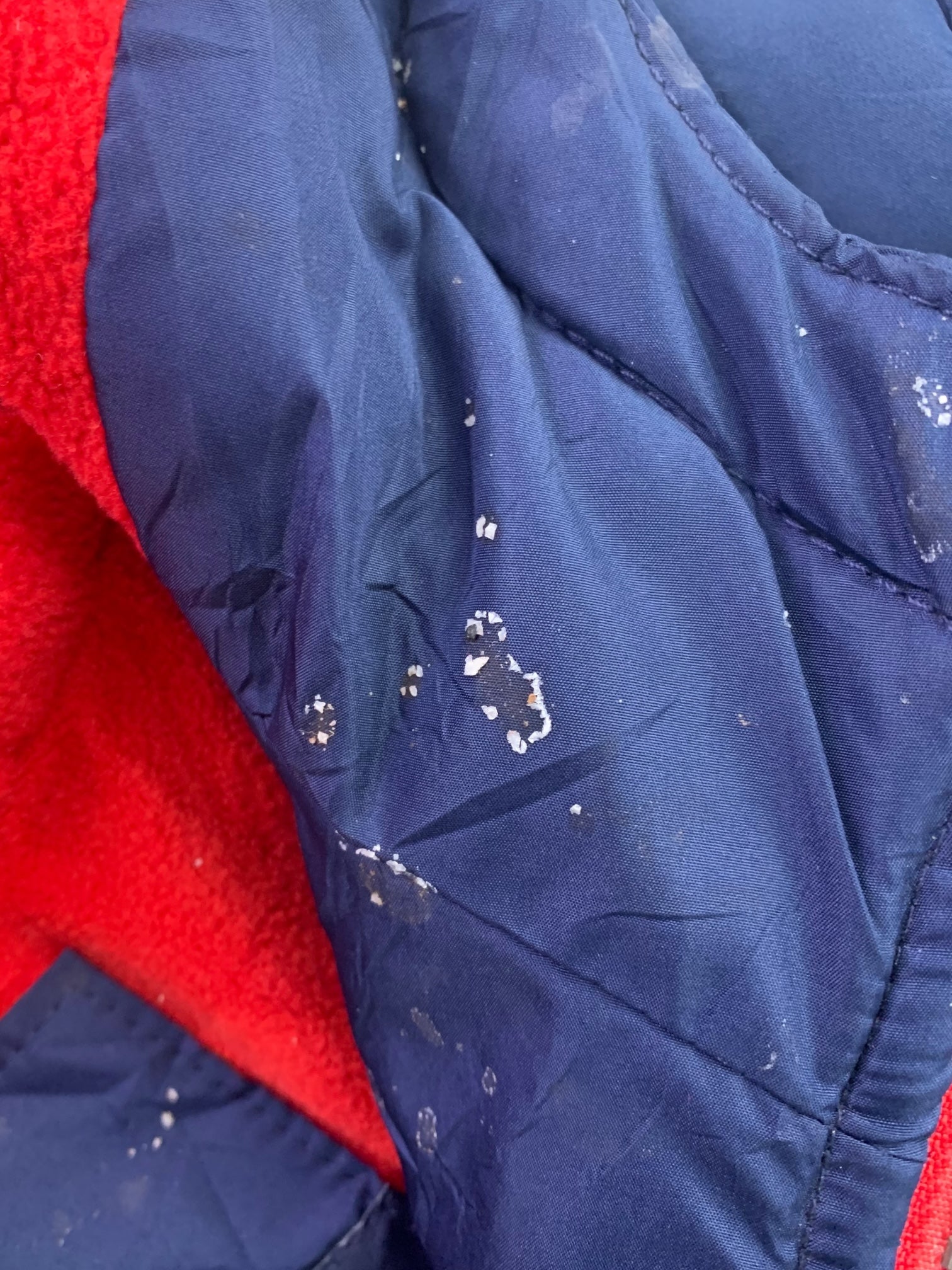 Tommy Hilfiger Chaqueta Puffer Impermeable - Niño - Medium - 10-12Y (Años)