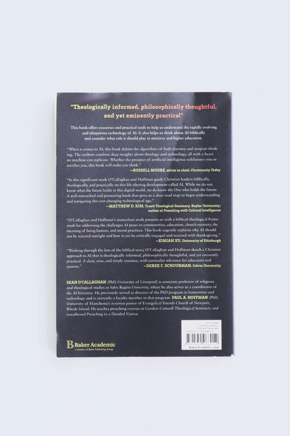 Libro AI SHEPHERDS AND ELECTRIC SHEEP  by O’ VALLAHAN  - HOFMAN
