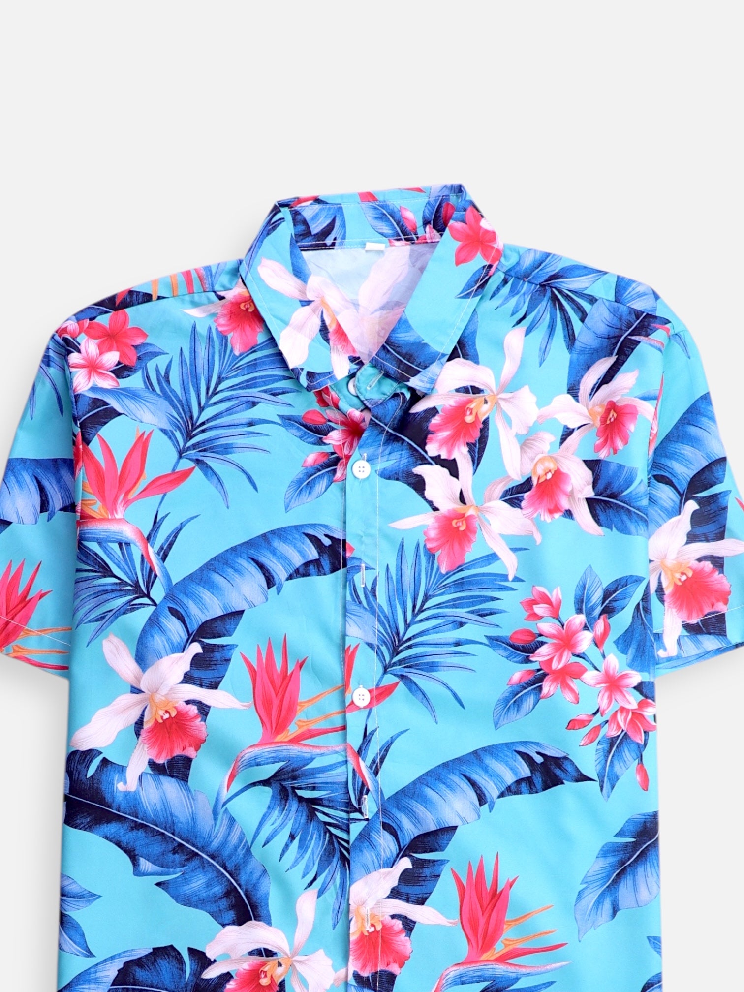 Camisa Verano - Hombre - Medium