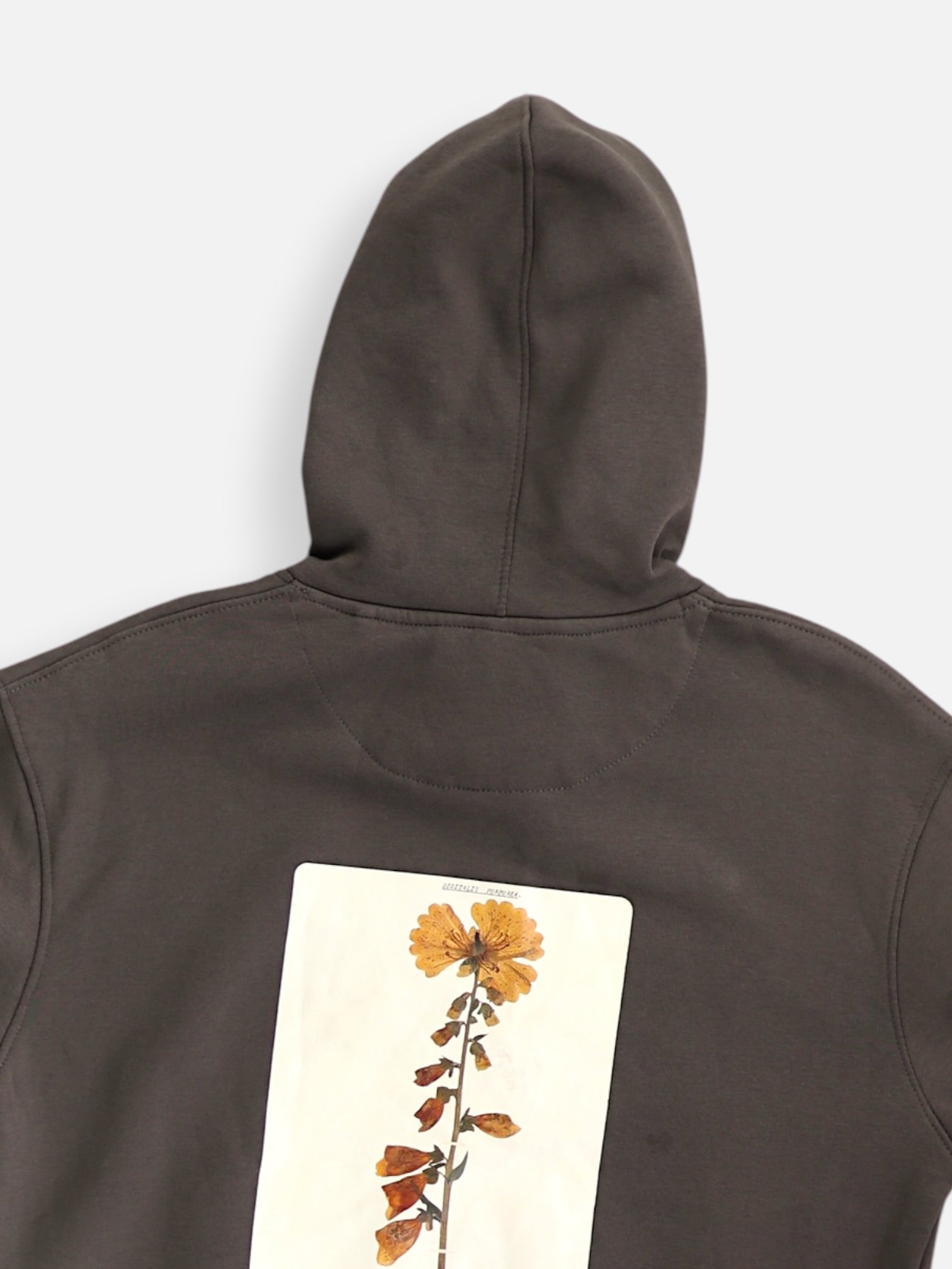 Sudadera Hoodie Basic - Niño - N/A - 9-10Y (Años)