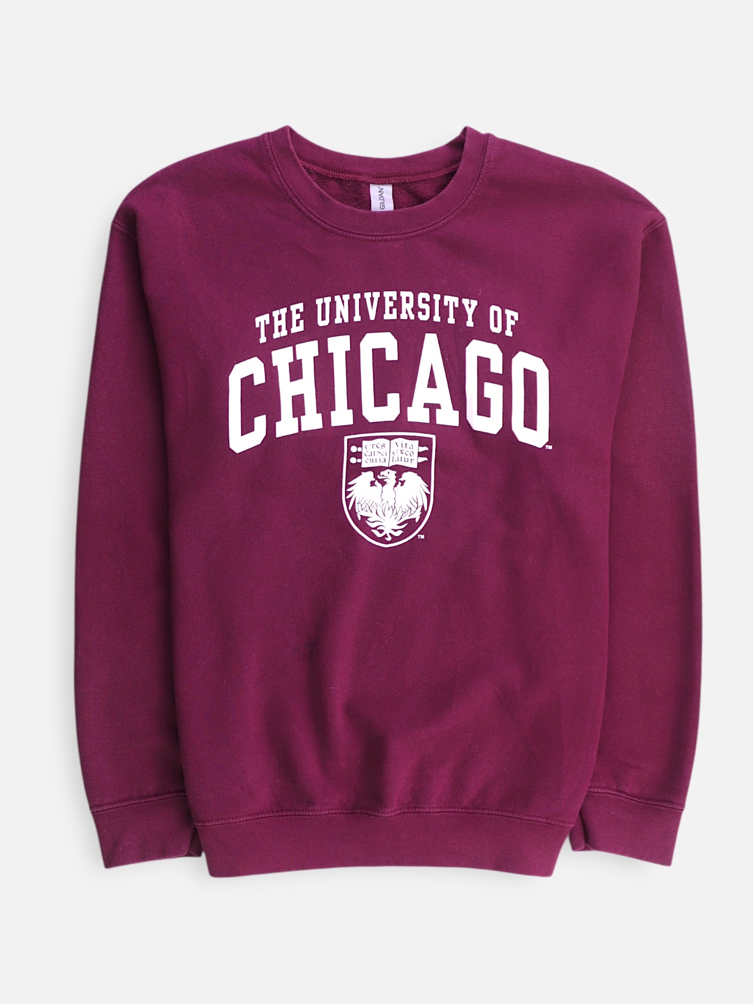 Gildan Sudadera Sweatshirt Basic - Mujer - Medium