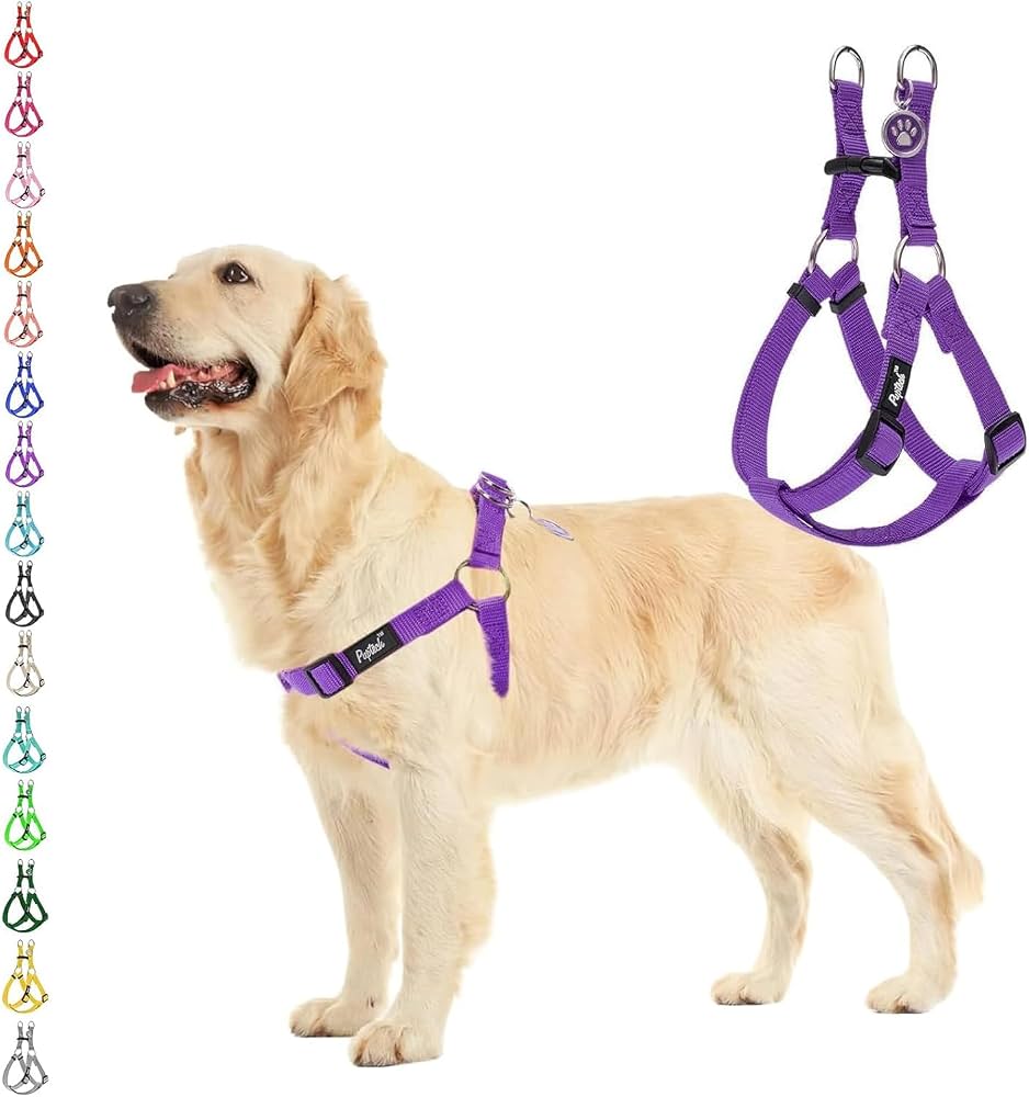 Arnés  Basic Perro - Medium