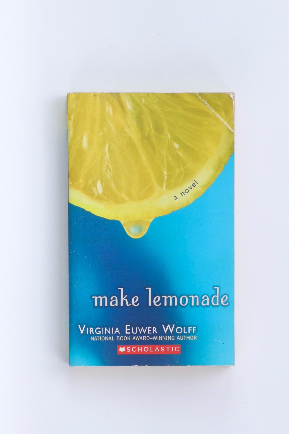 Libro MAKE LEMONADE  by VIRGINIA EUWER